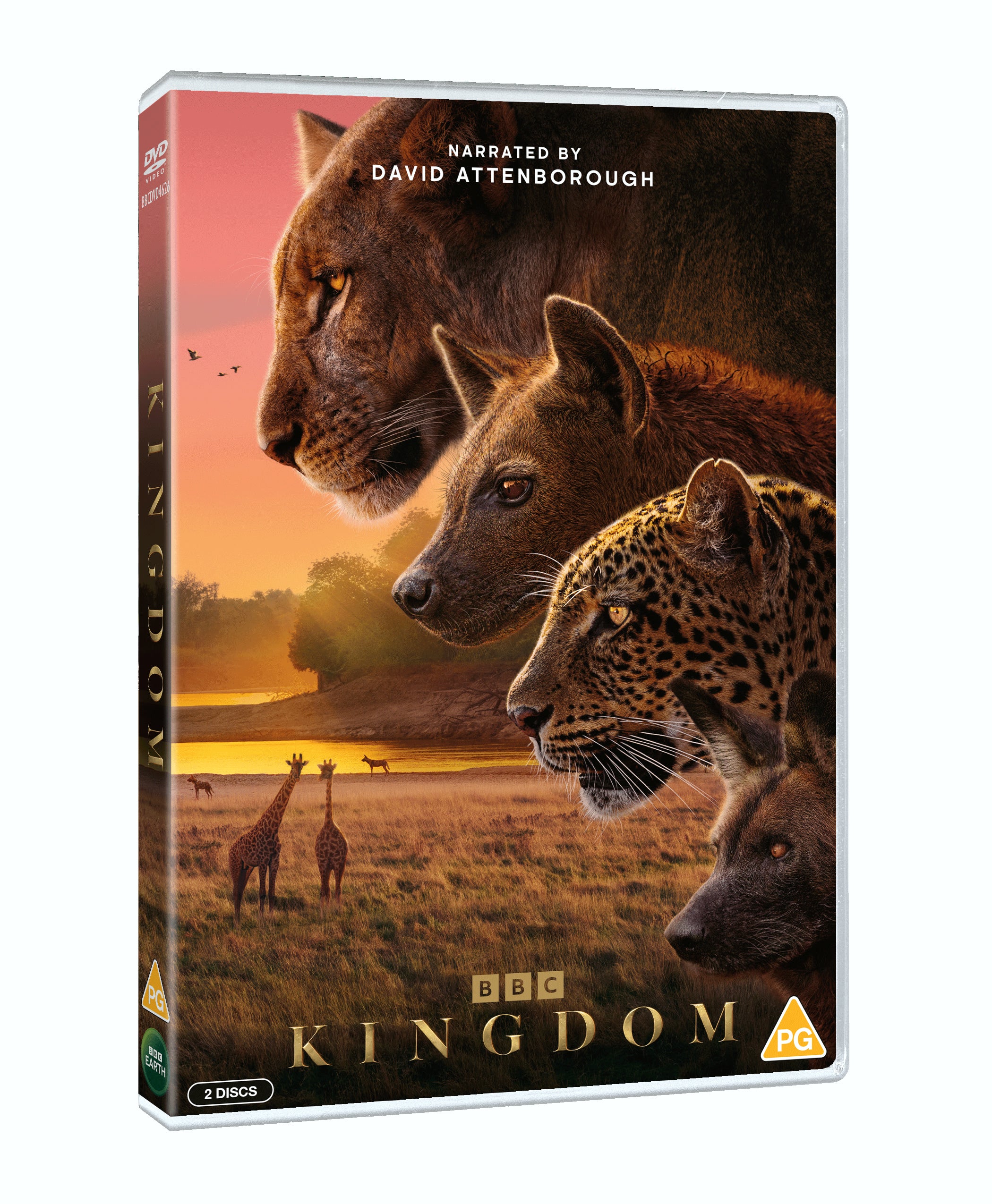 Kingdom