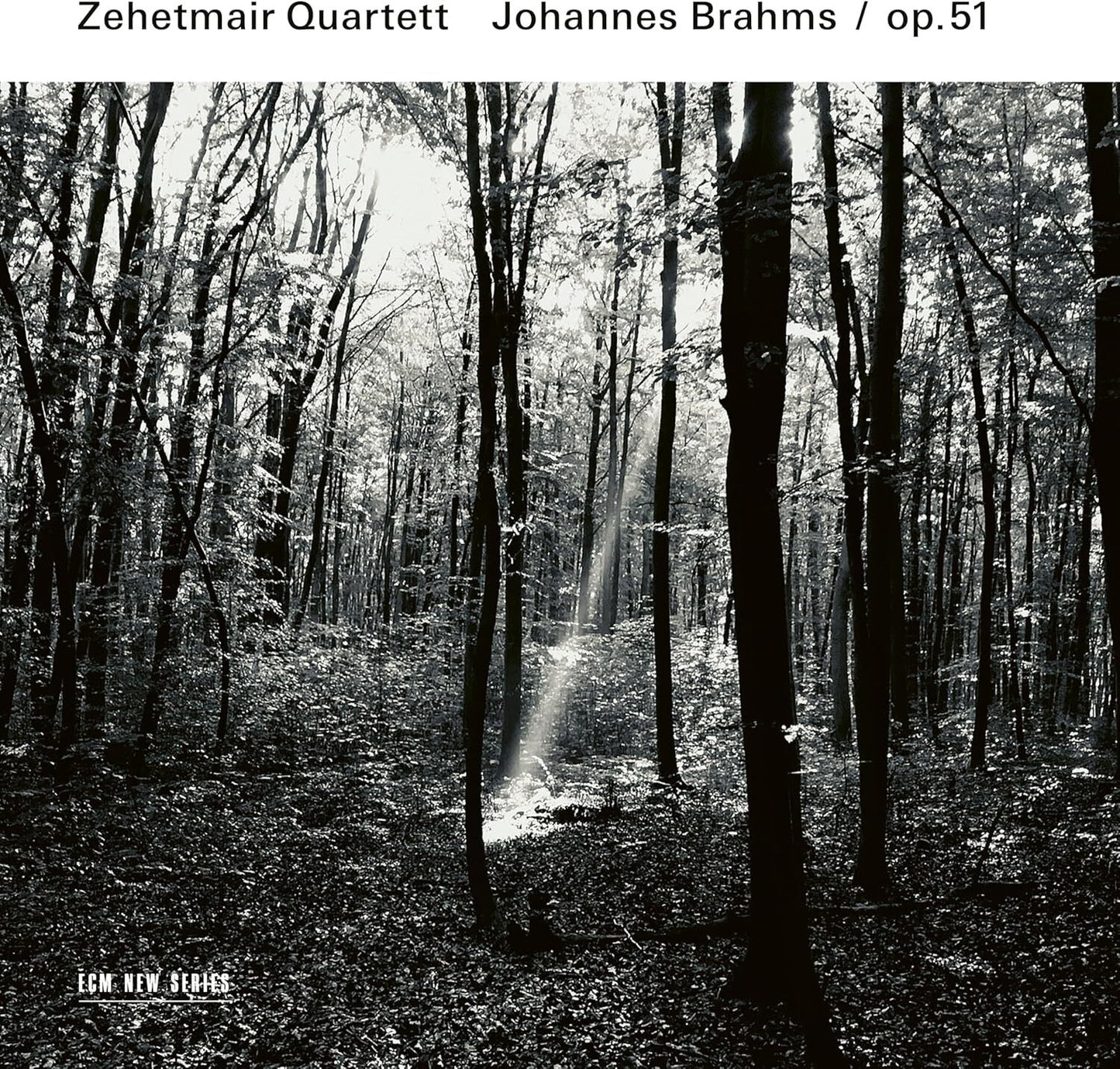 Johannes Brahms: Op. 51