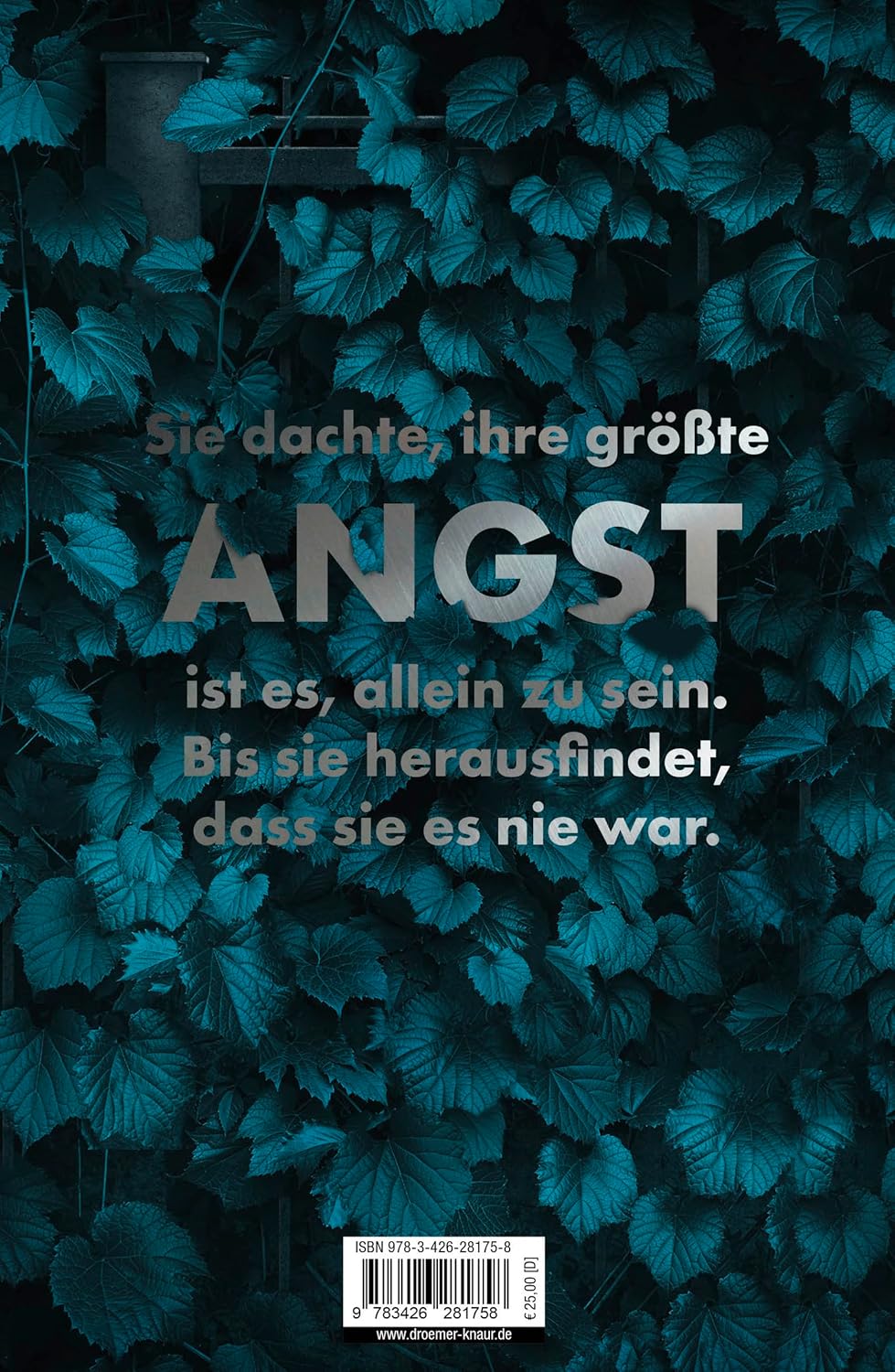 Der Nachbar: Psychothriller
