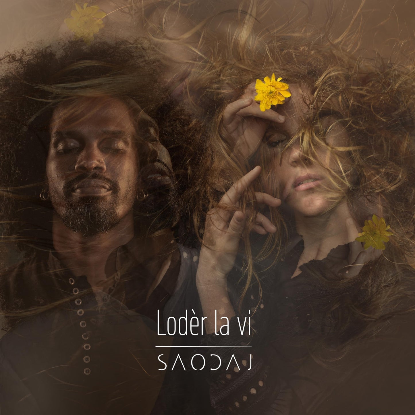Loder la VI