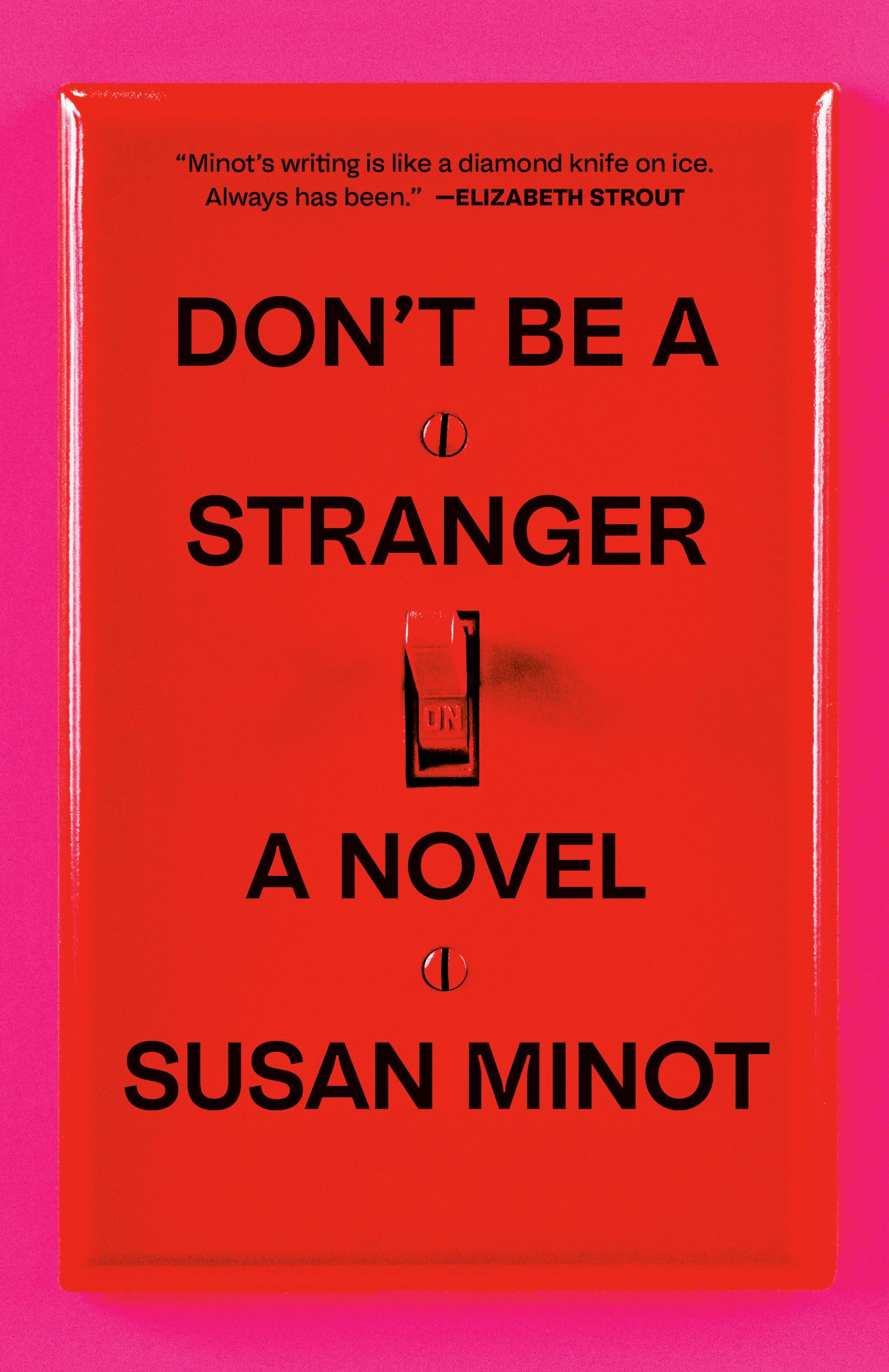 Don't Be a Stranger: A Novel (Vintage Contemporaries