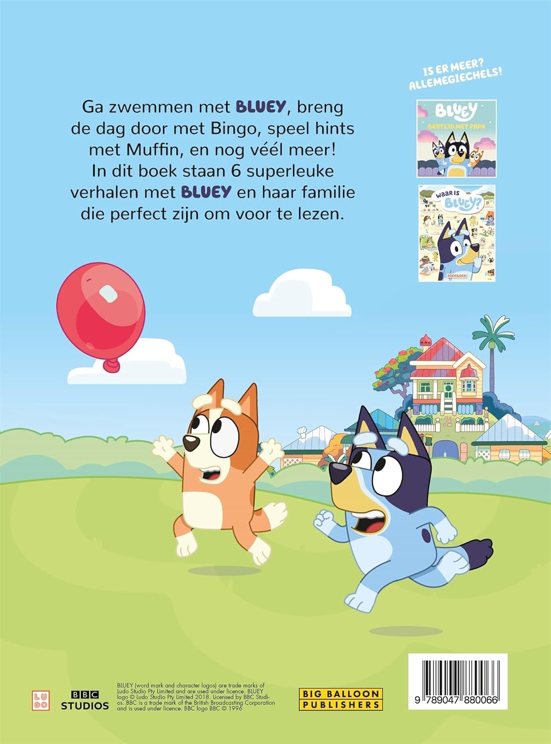Big Balloon - Dubbeldik Verhalenboek