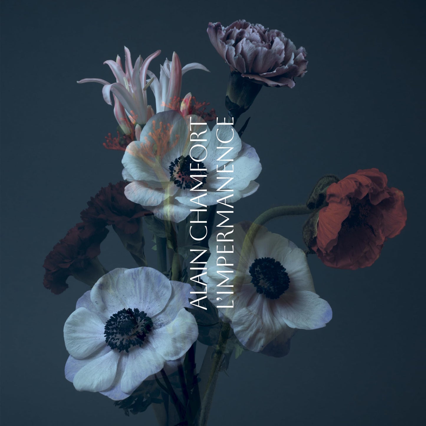L Impermanence