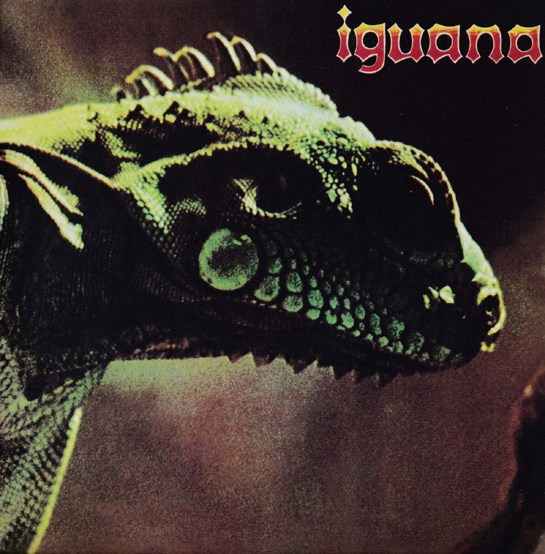 iguana