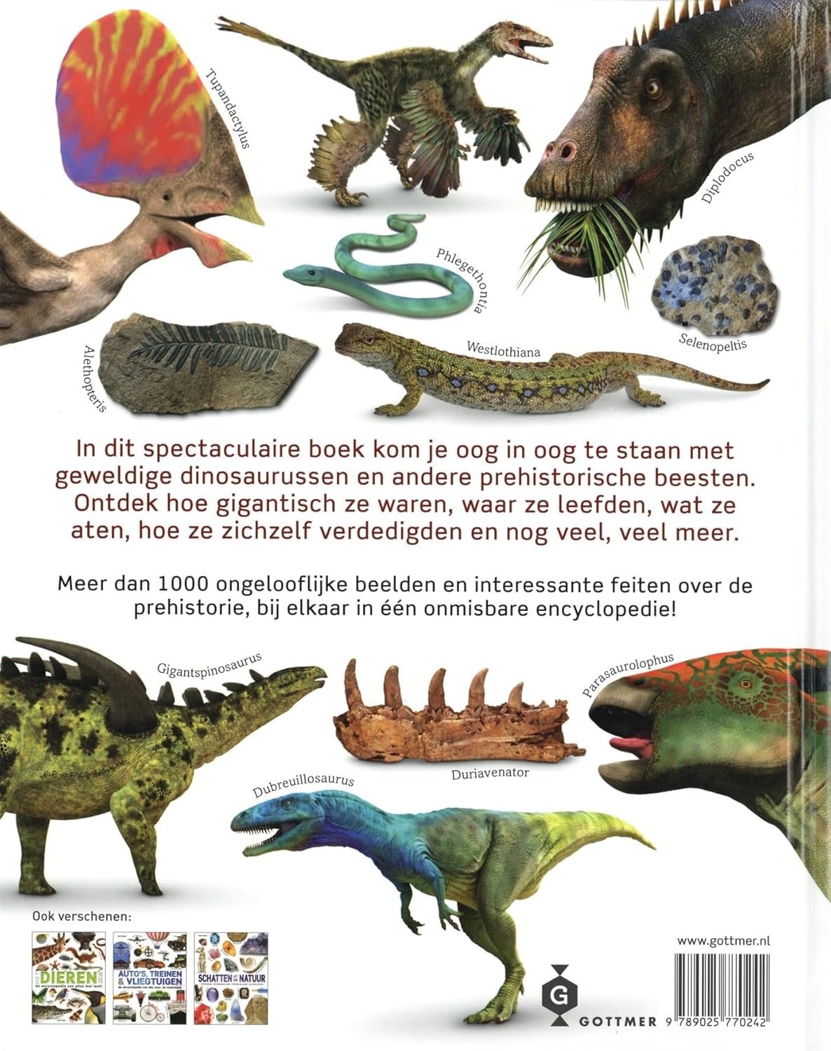 Gottmer Uitgevers Groep - Het Dinosaurusboek