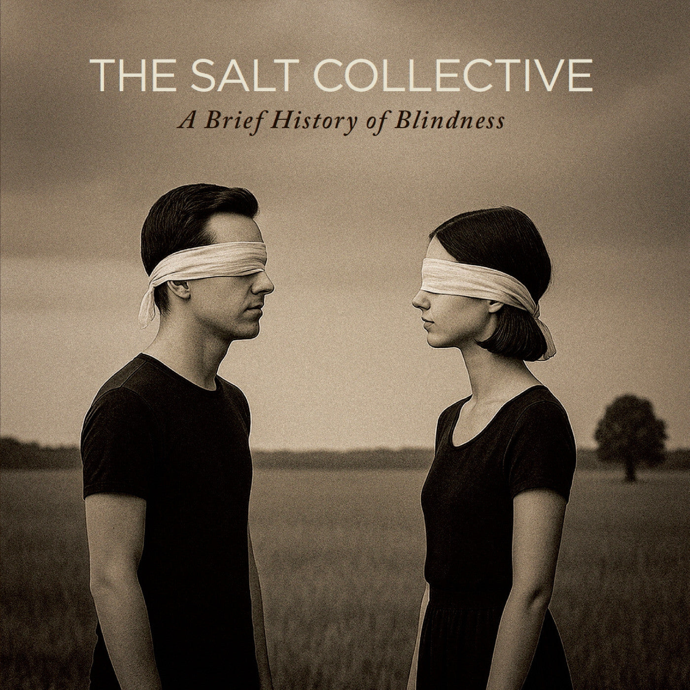 A Brief History of Blindness