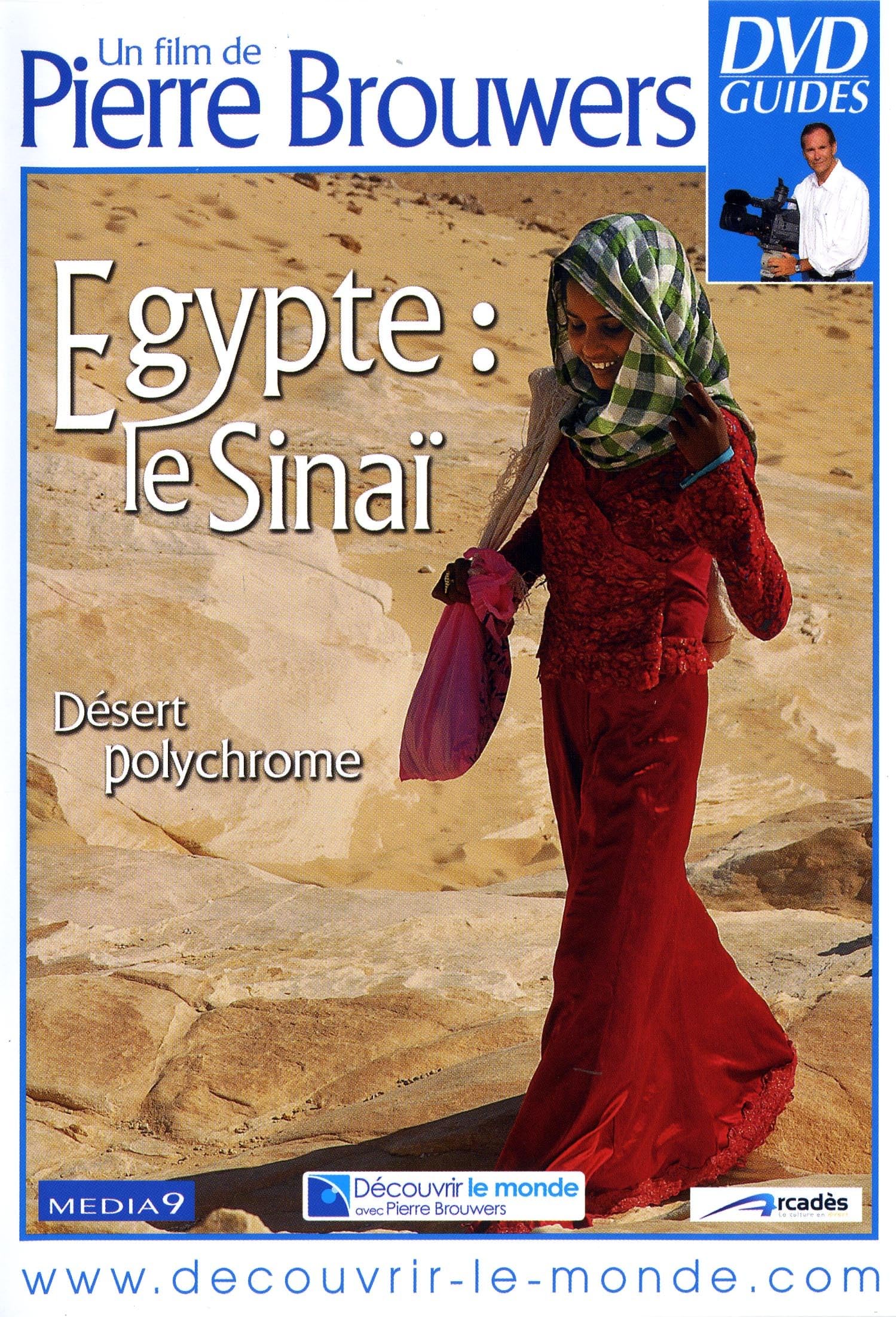Egypte Le Sinai - Desert Polchrome