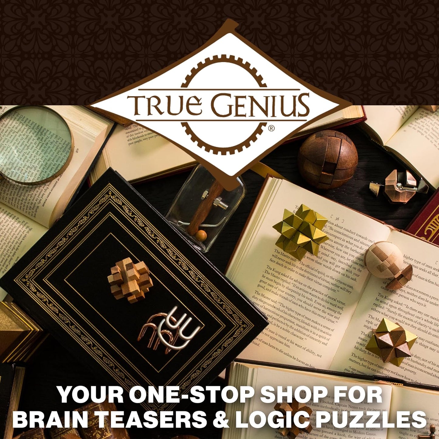 True Genius: Caesar's Calendar - One-A-Day Puzzle Calendar, Wooden Brain Teaser Puzzle