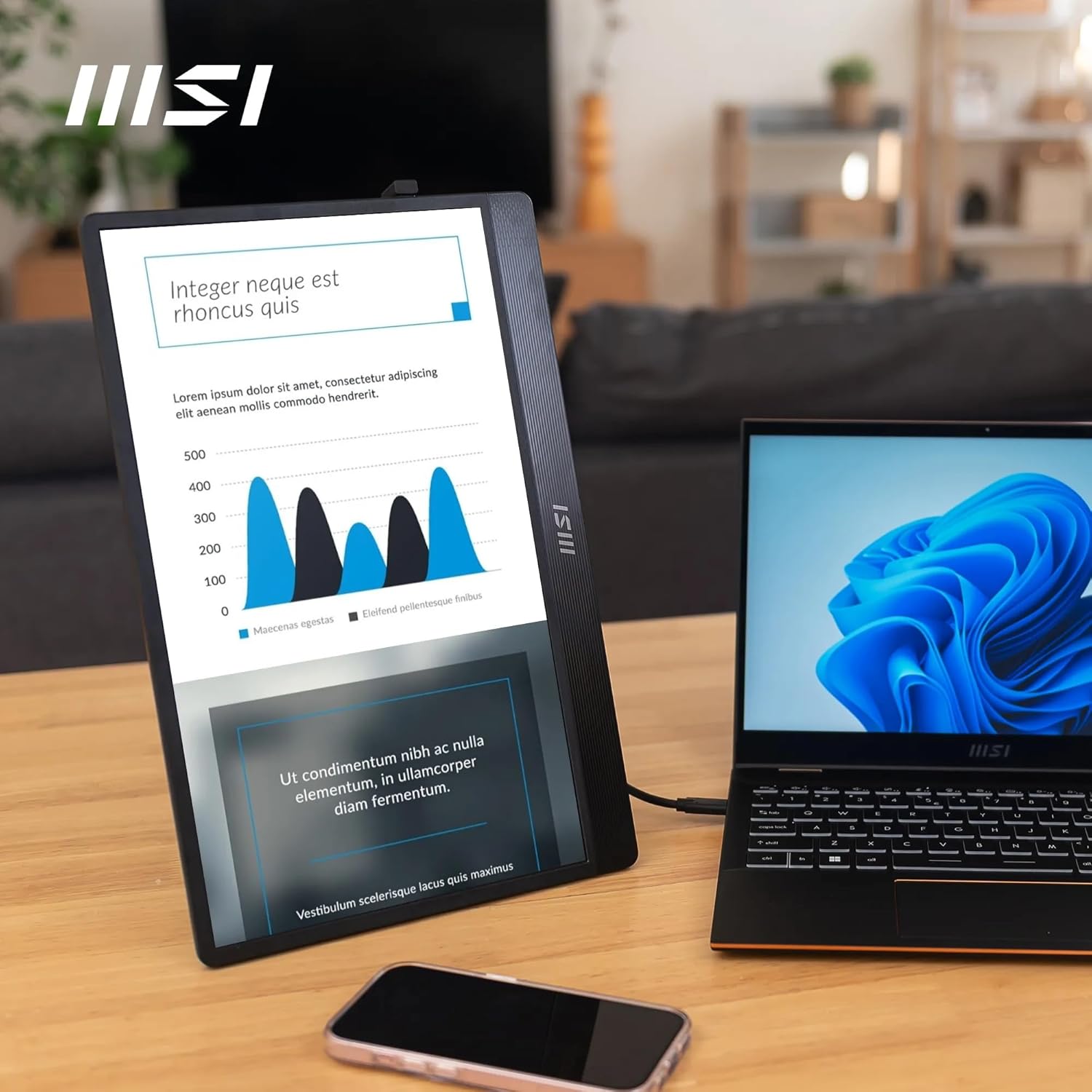 Msi Pro Mp161 E2 - Lcd Monitor - 16`` (15.6`` Viewable) - Portable - 1920 X 1080 Full Hd (1080P) @ 60 Hz - Ips - 250 Cd/MÝ