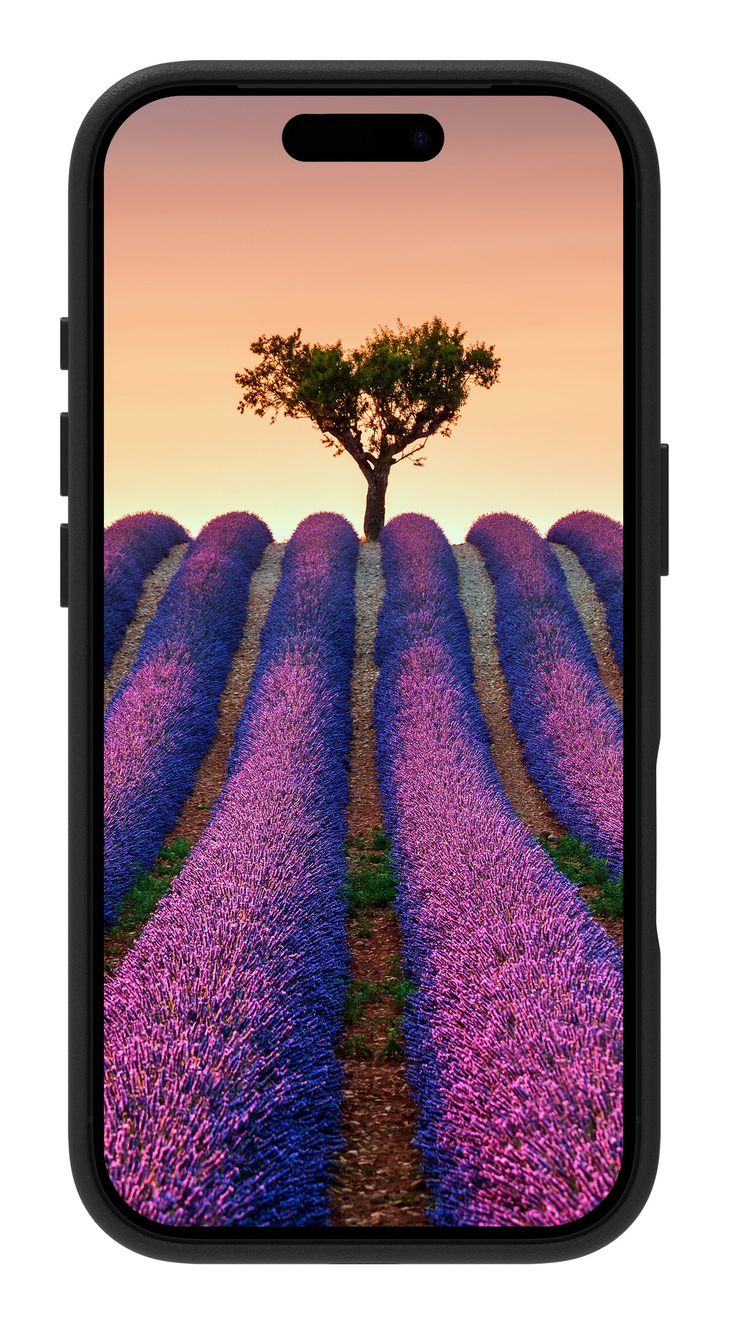 dbramante1928 Roskilde MS mobile phone case 15.9 cm (6.27") Cover Black