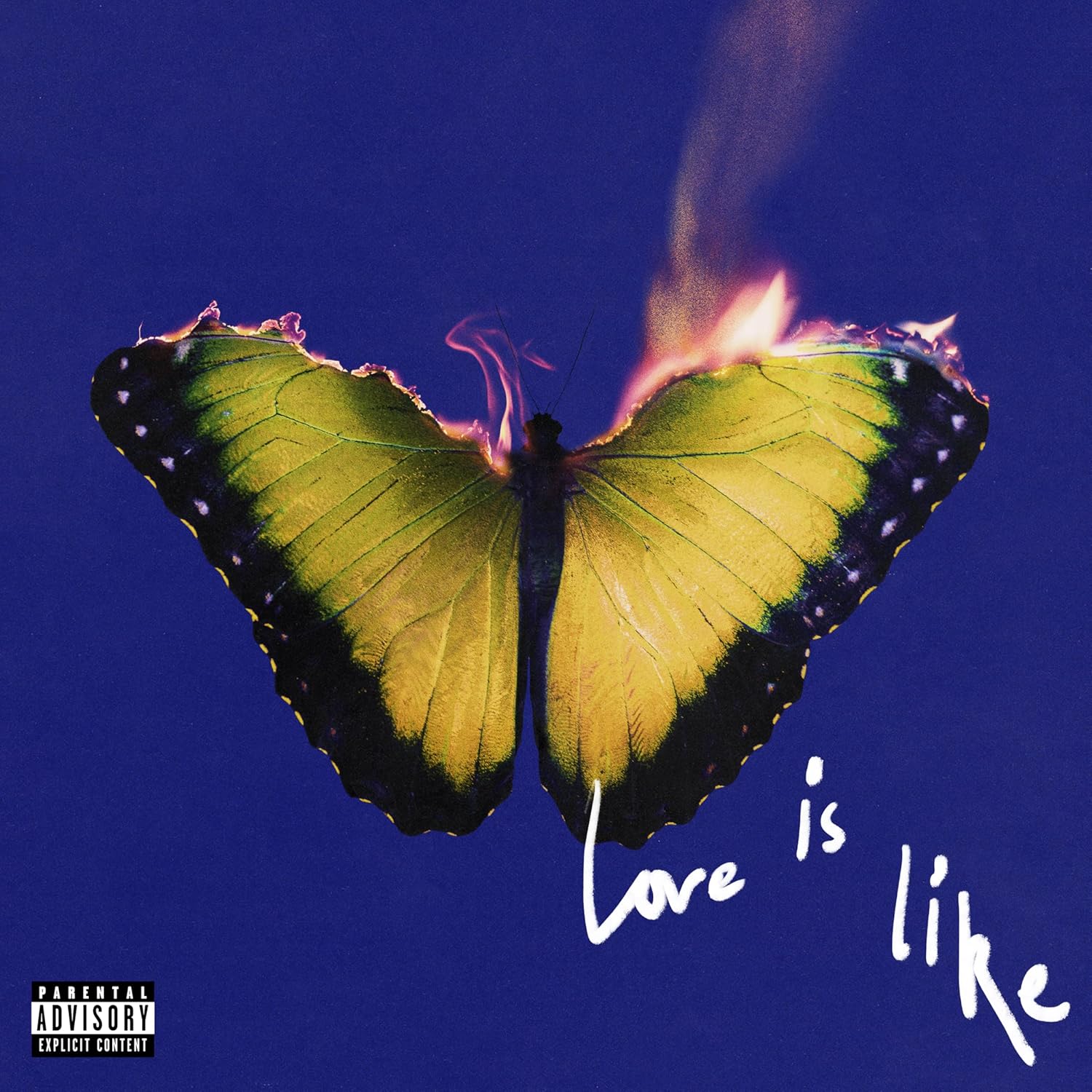 Love Is Like (Amazon exklusive Orange LP