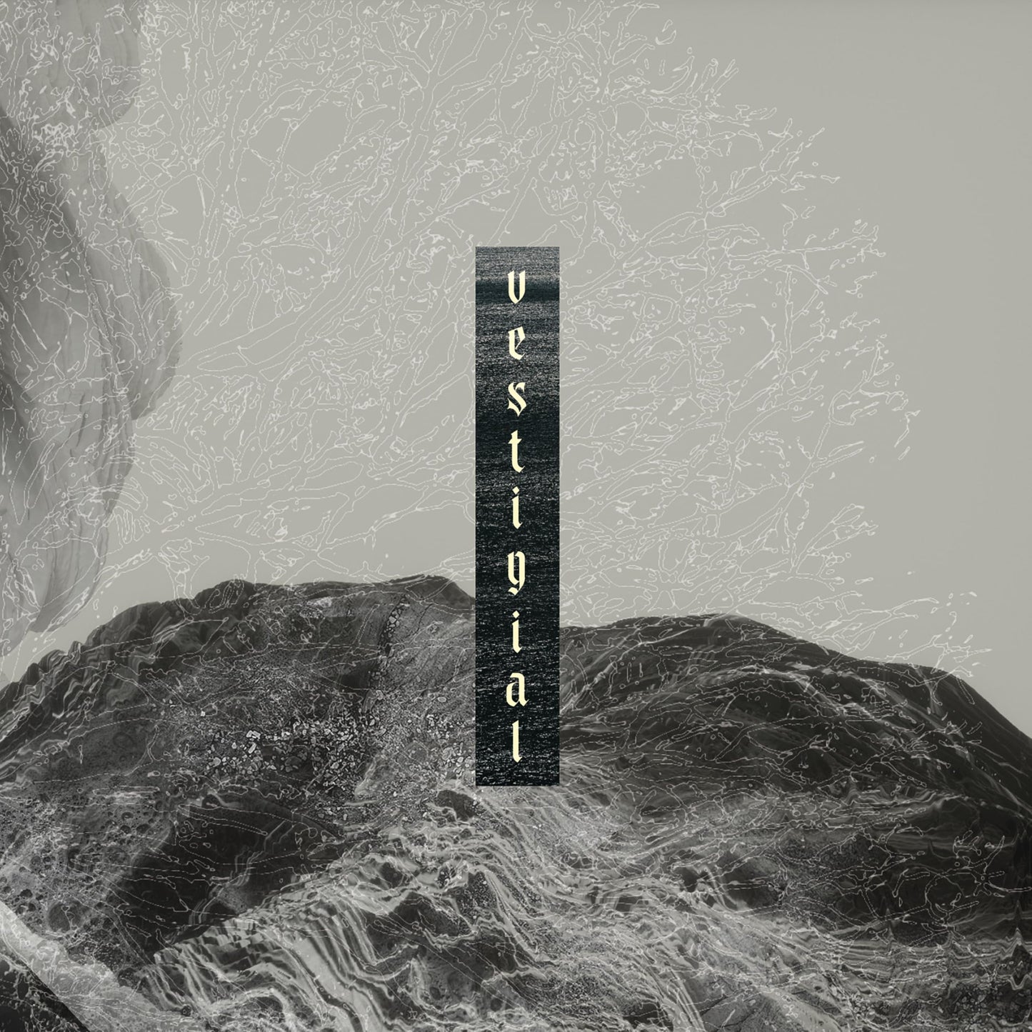 Audio Cd Vestigial - Descending Vastness