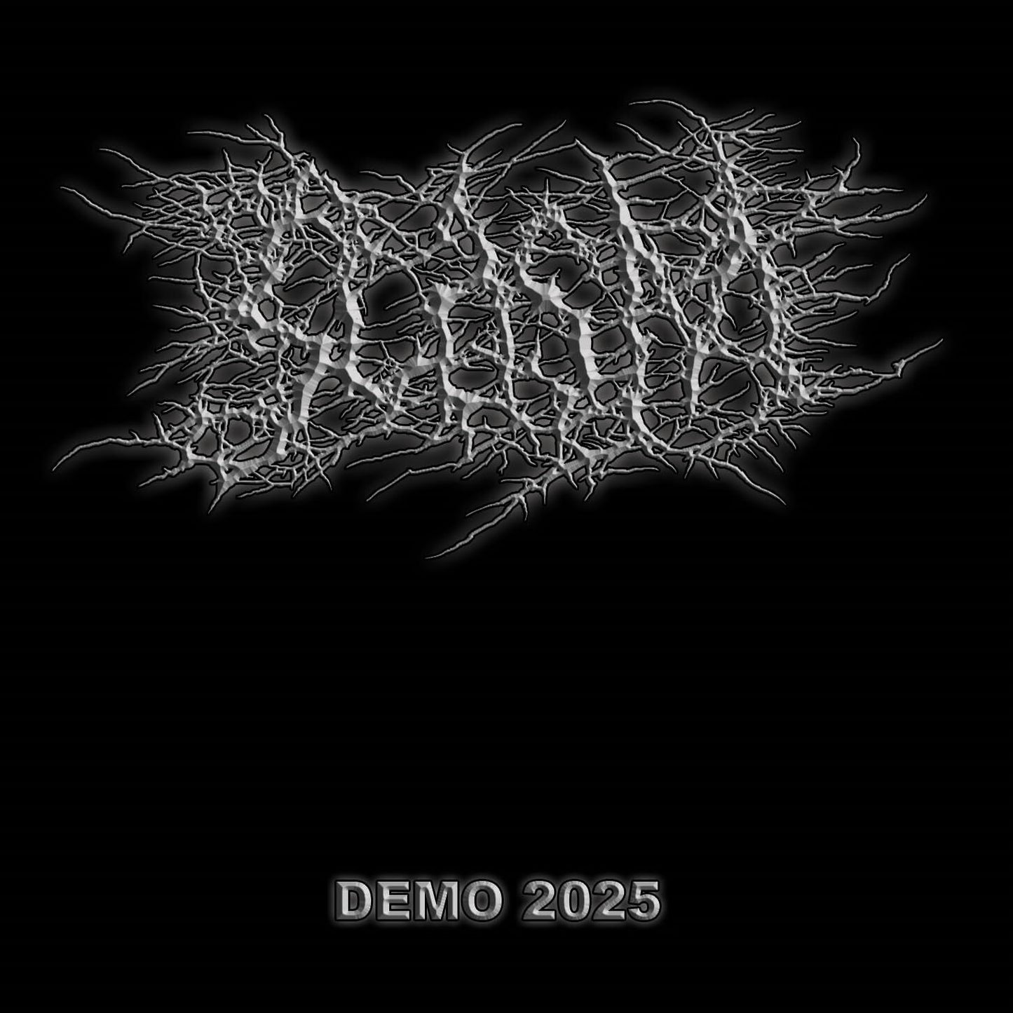 Demo 2025