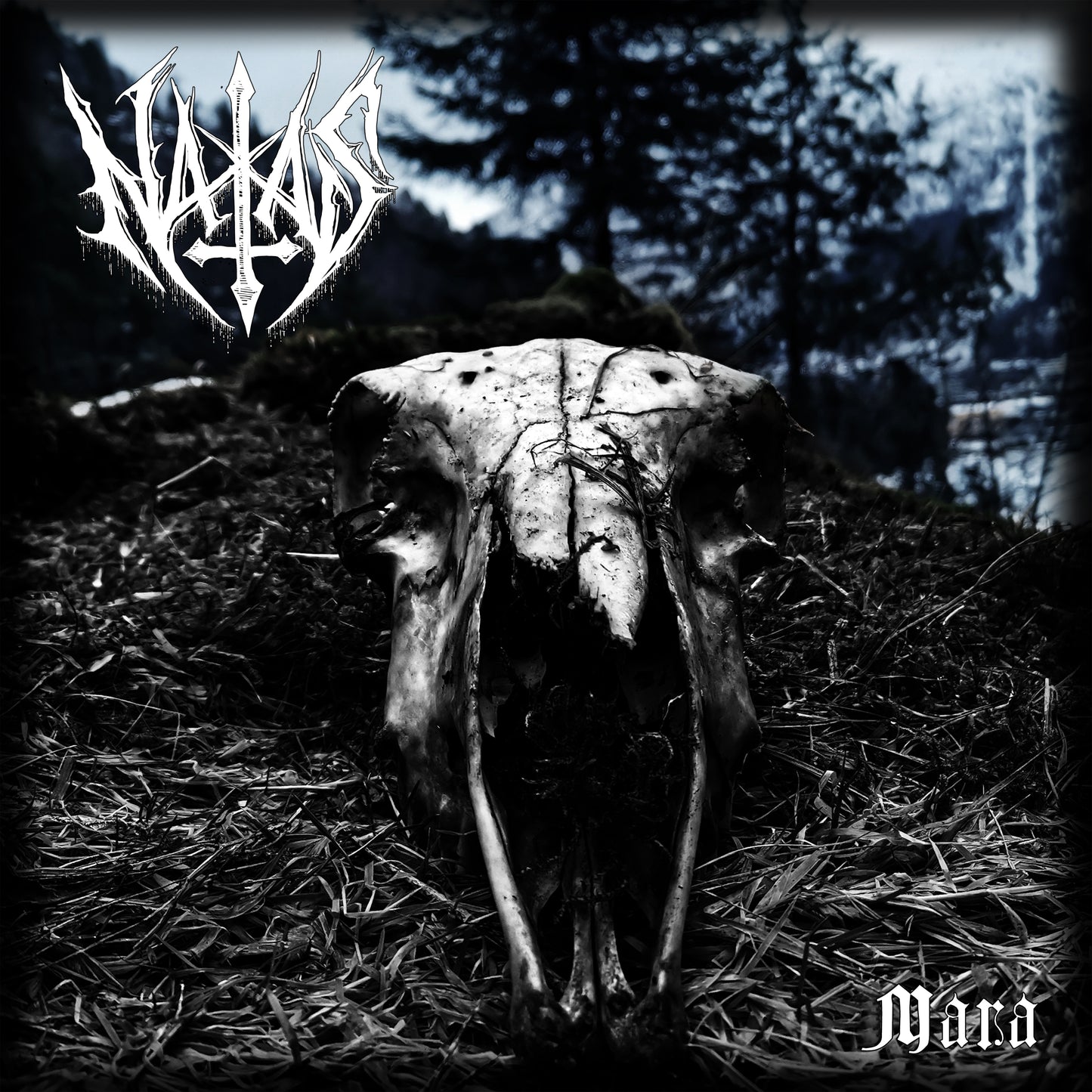 Mara