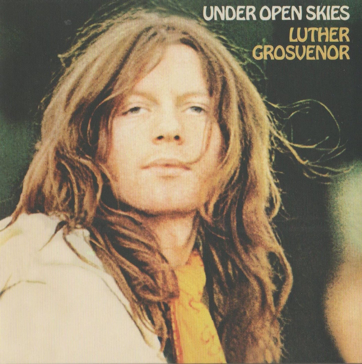 Luther Grosvenor - Under Open Skies