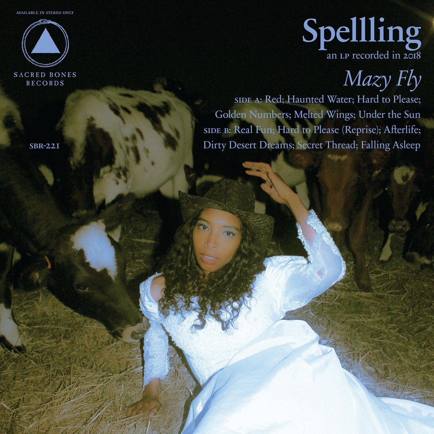 Mazy Fly (Clear