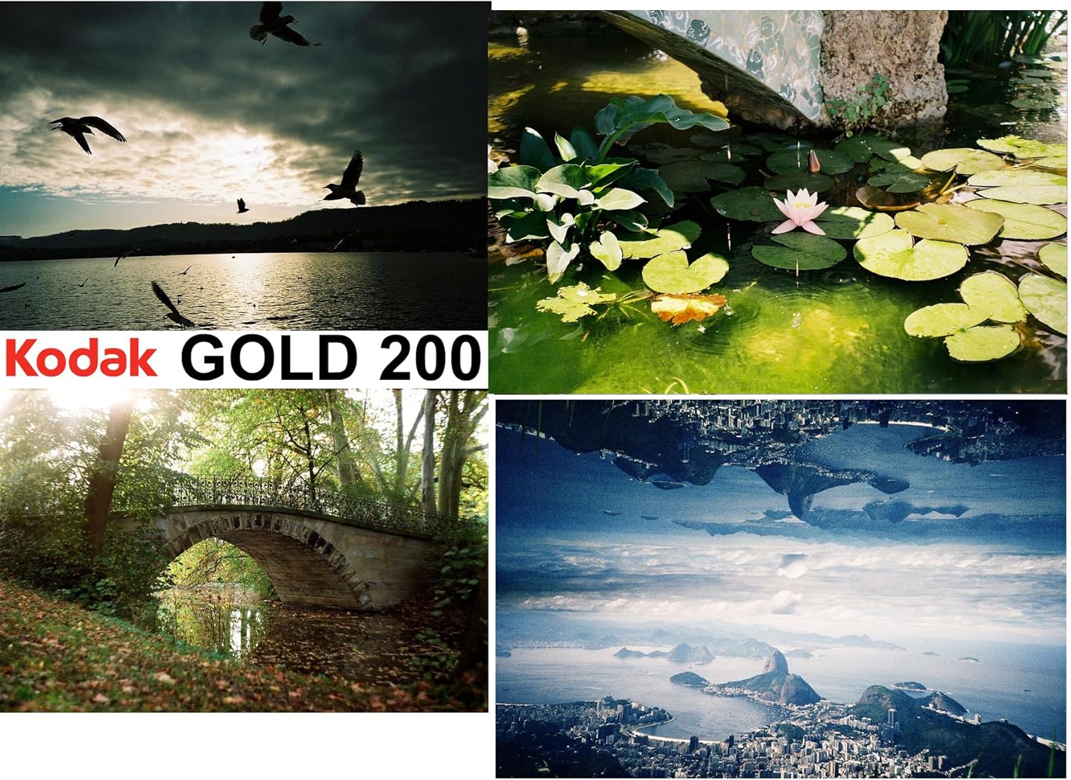 Kodak - 135 Gold 200 Boxed 36X1 - Film