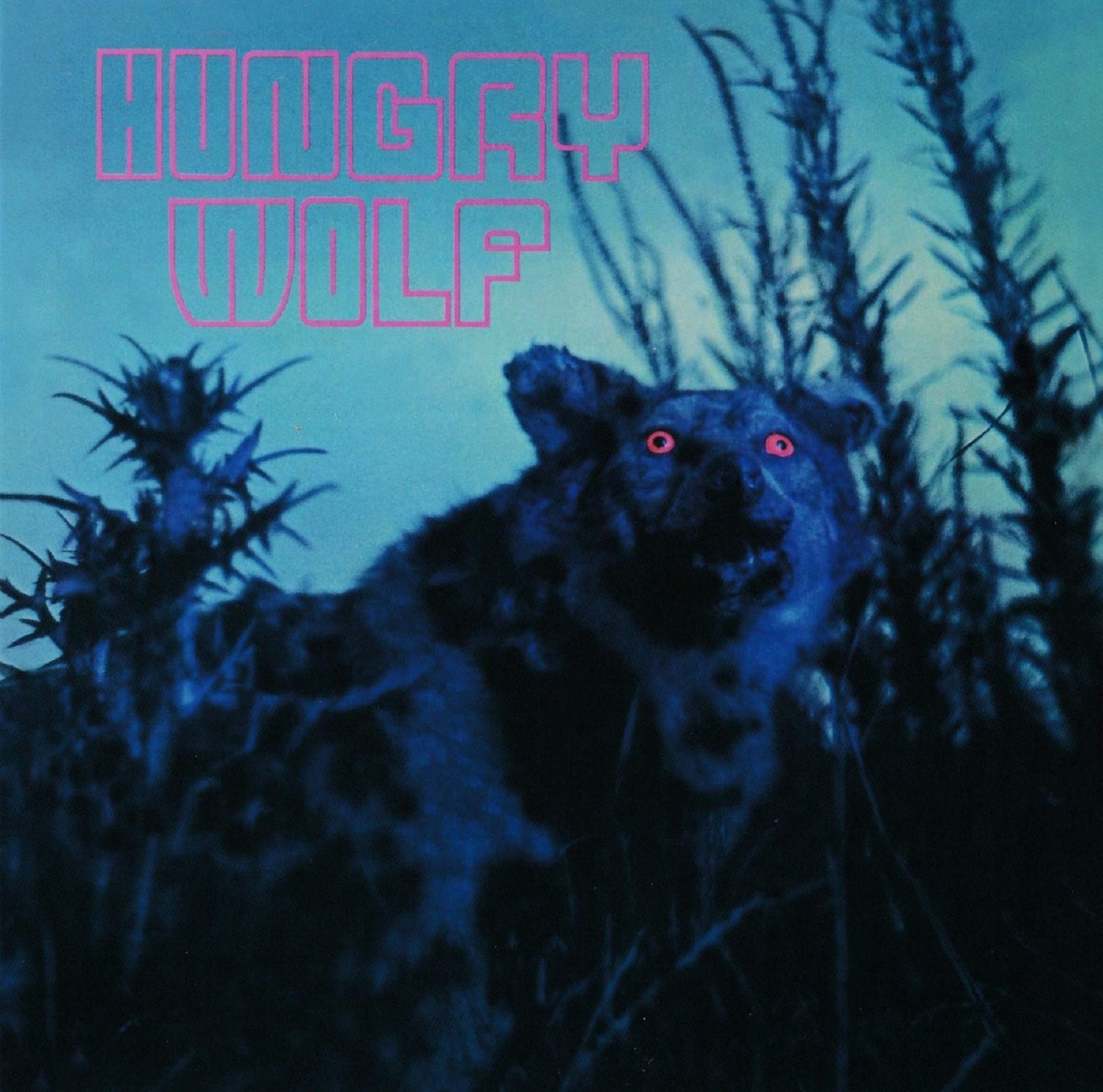 hungry wolf