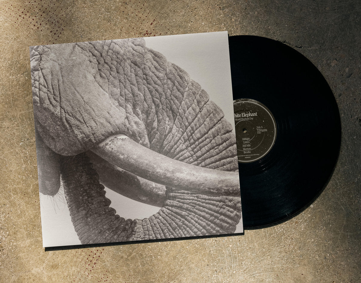 World Elephant Day