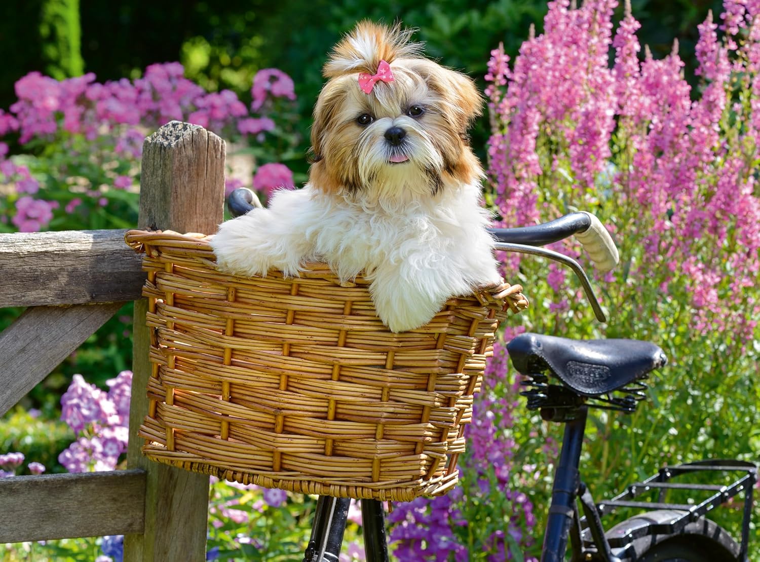Ravensburger 100 Piece Extra Large Jigsaw Puzzle with Board & Poster – Feel Well & Puzzle range, Sweet Little Dog in Bicycle Basket – Kids & Adults, Dog Lovers Gift