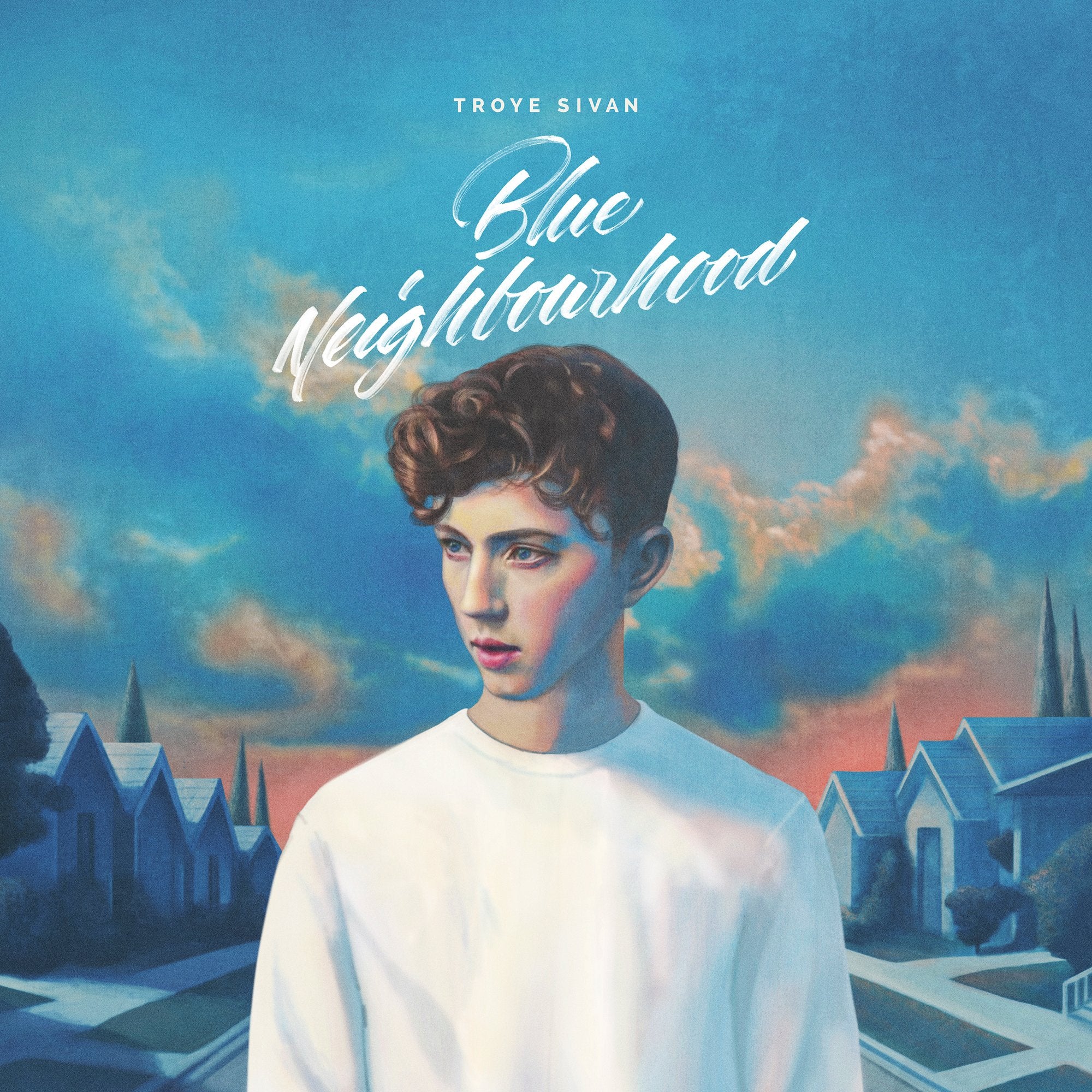 Blue Neighbourhood clean