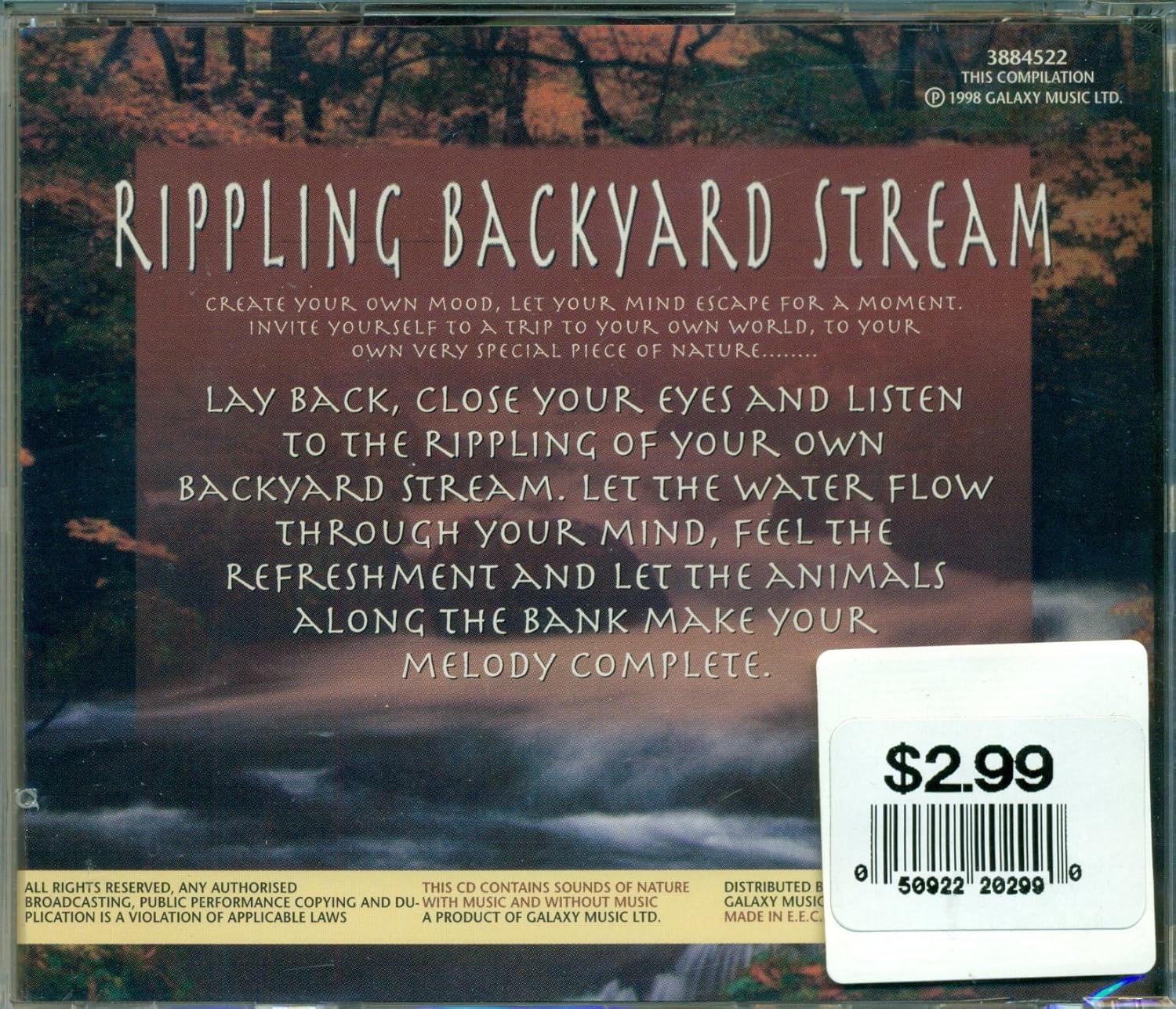 Rippling Backyard Stream