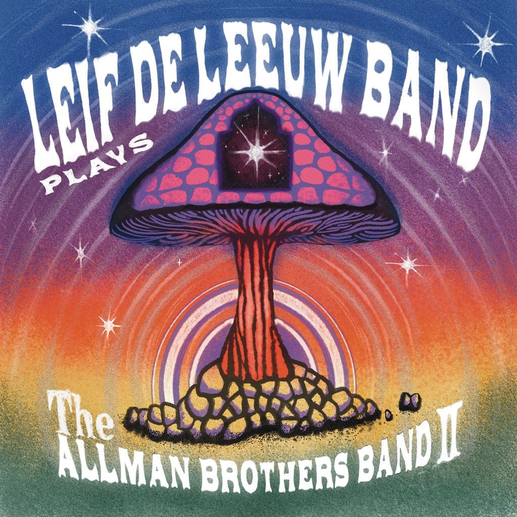 Plays The Allman Brothers Band II