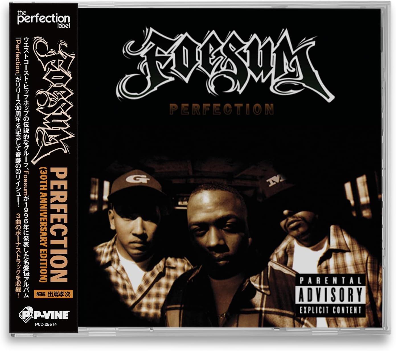 Perfection explicit_lyrics