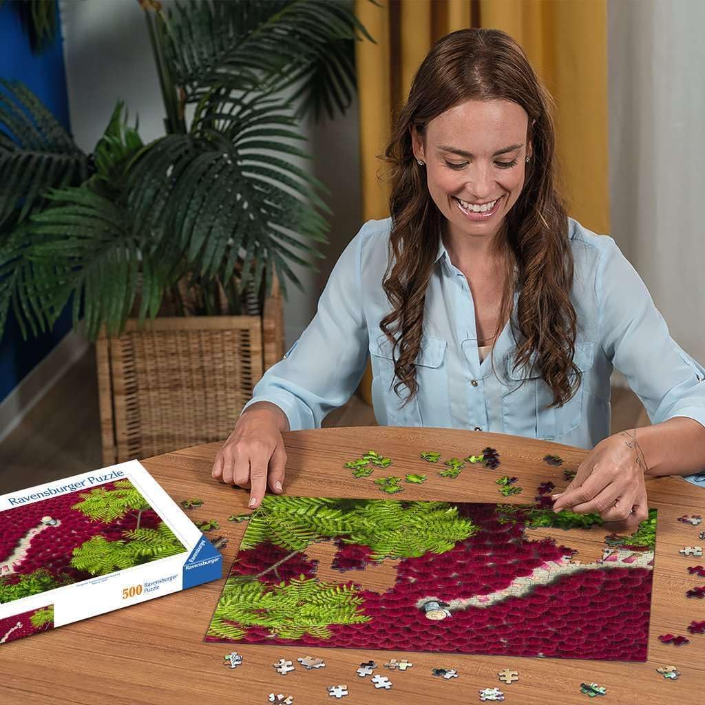 Ravensburger - Structures Of Nature 500P (12001707)