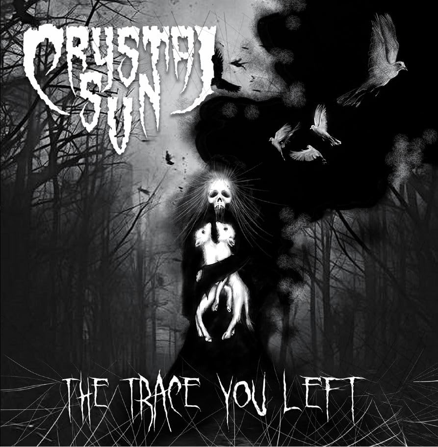 The Trace You Left