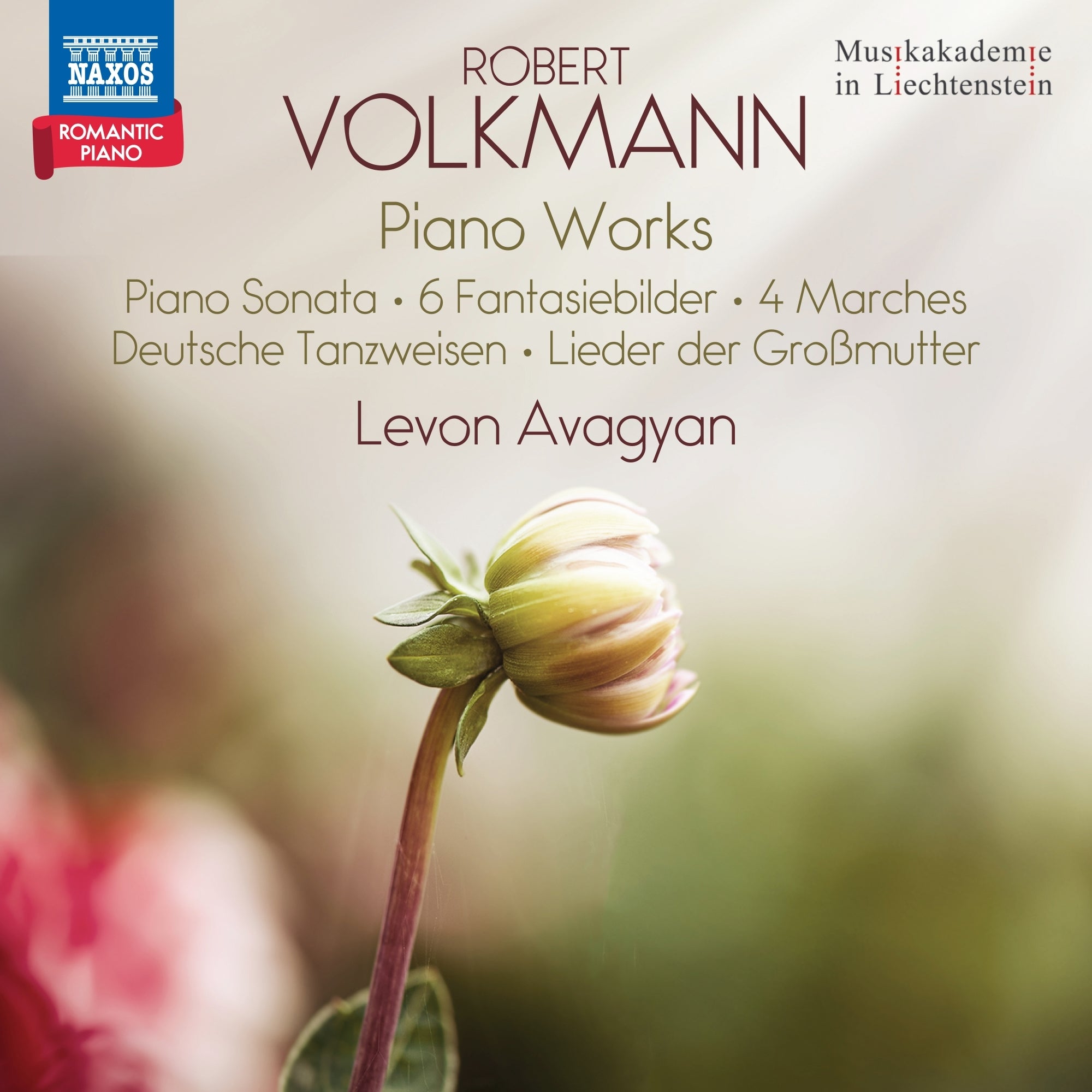Robert Volkmann: Piano Works