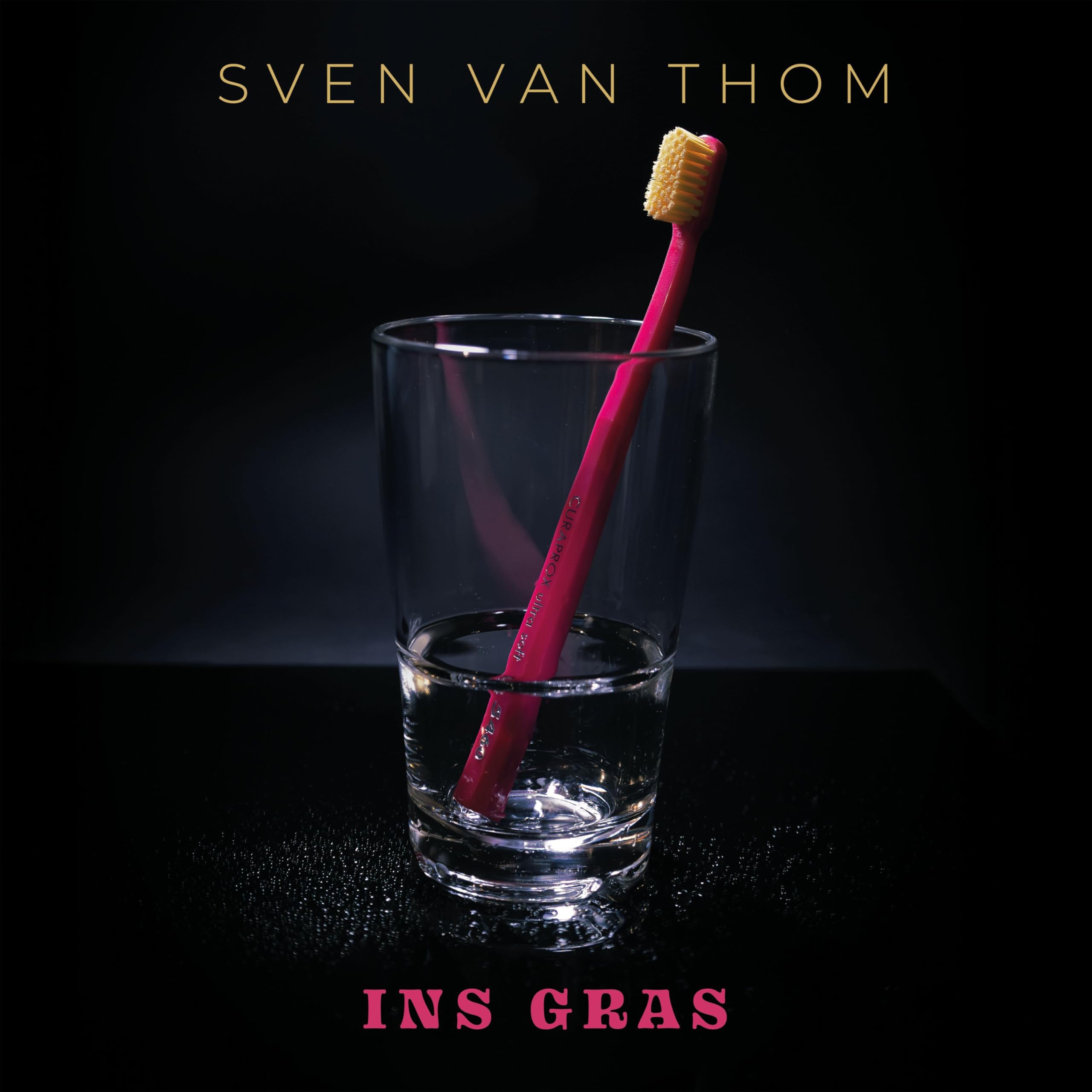 INS GRAS (2LP)