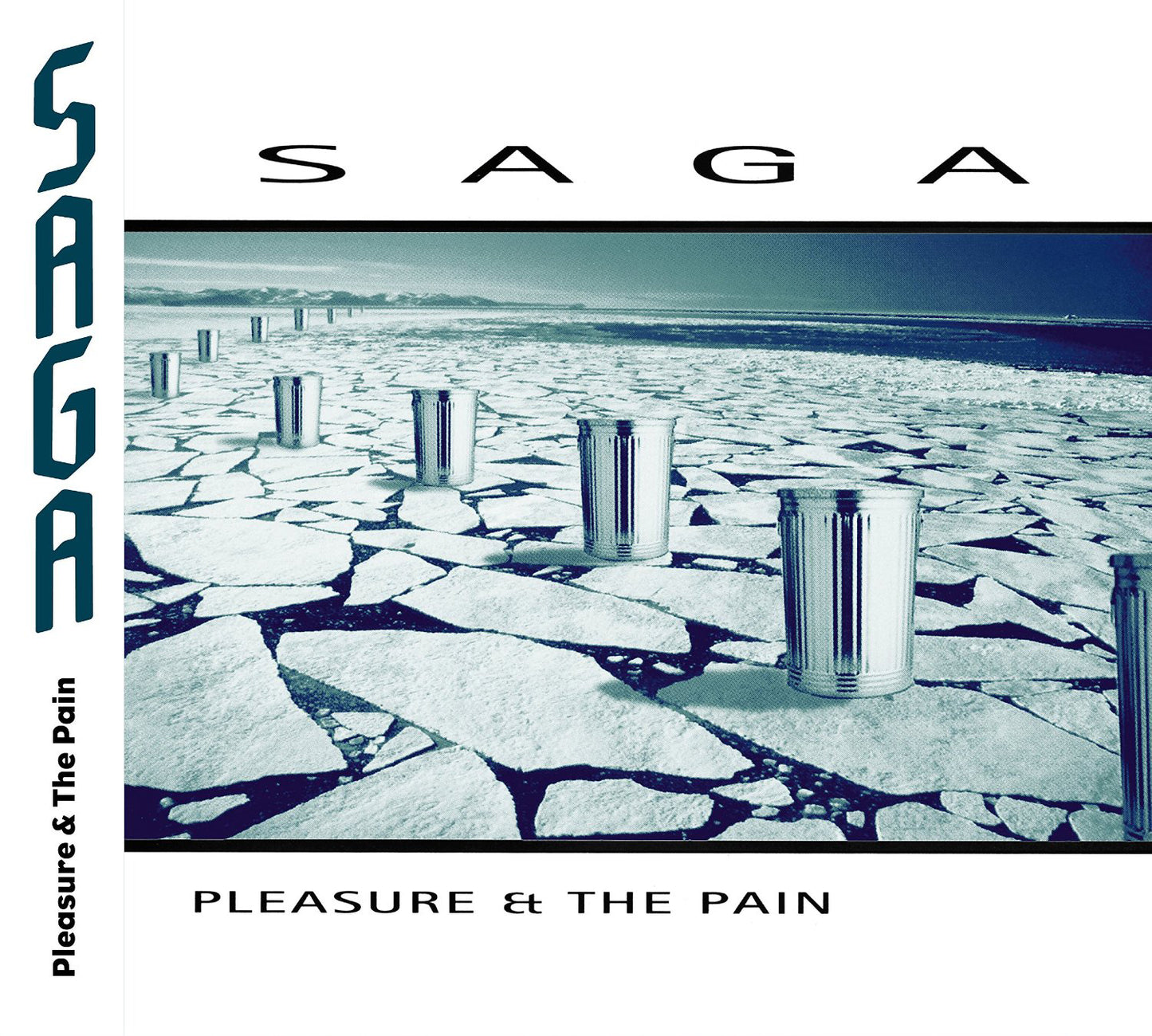Pleasure and the Pain
