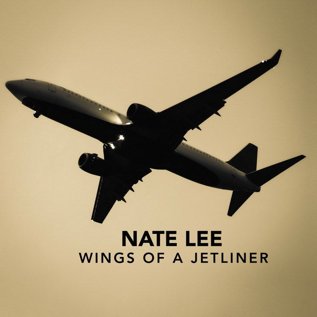 Wings Of A Jetliner