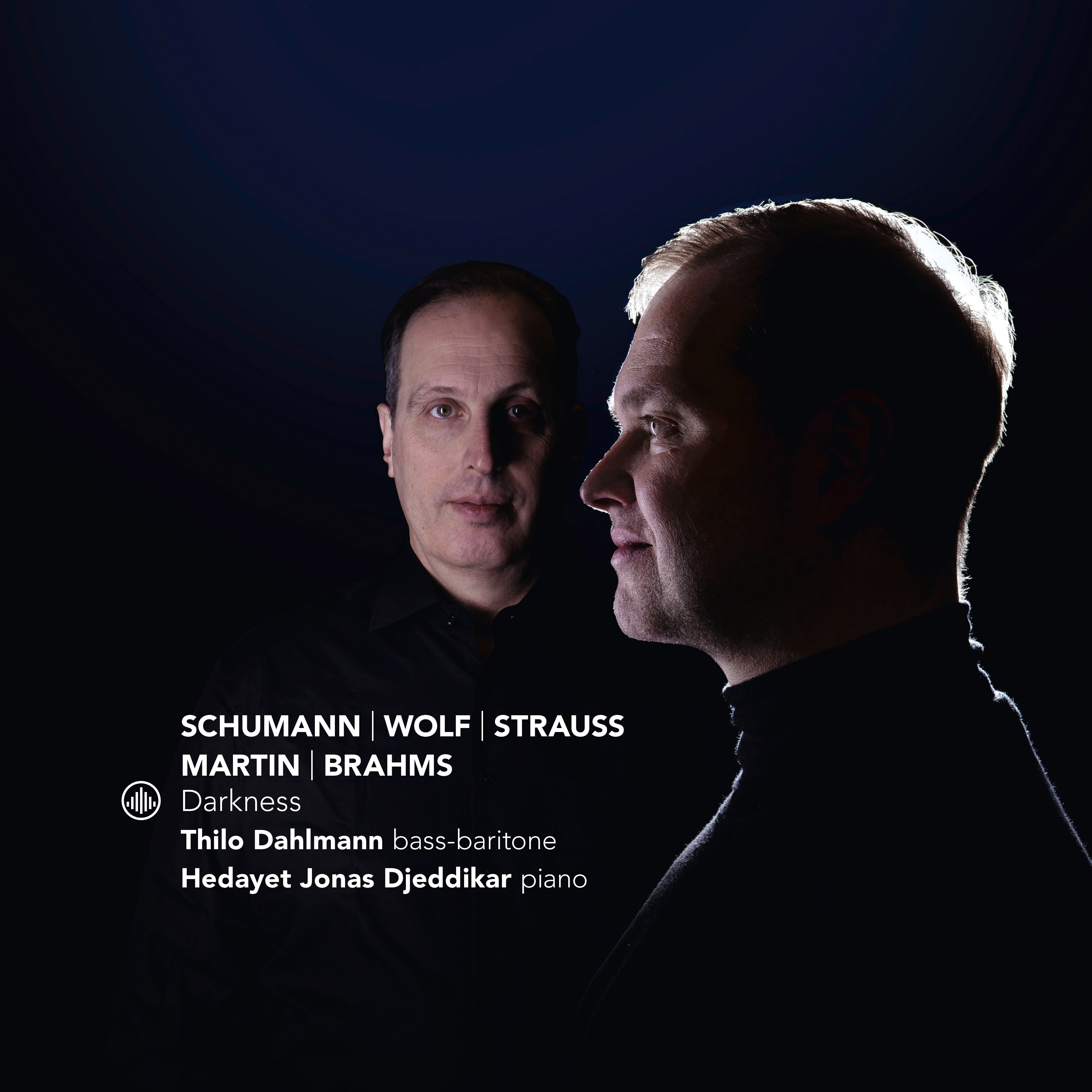 Schumann/Wolf/Strauss/Martin/Brahms: Darkness