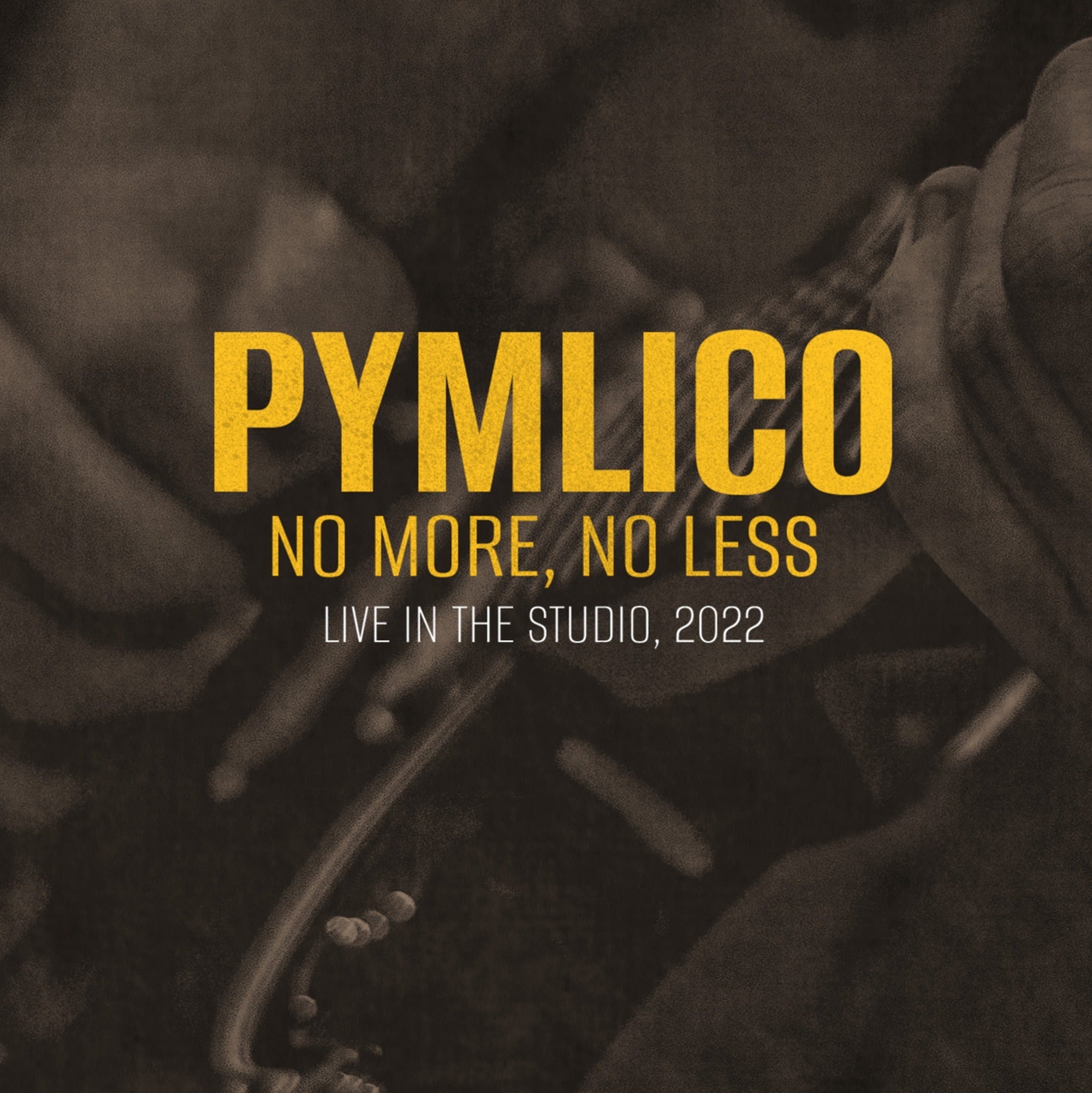 No More, No Less: Live in the Studio, 2022