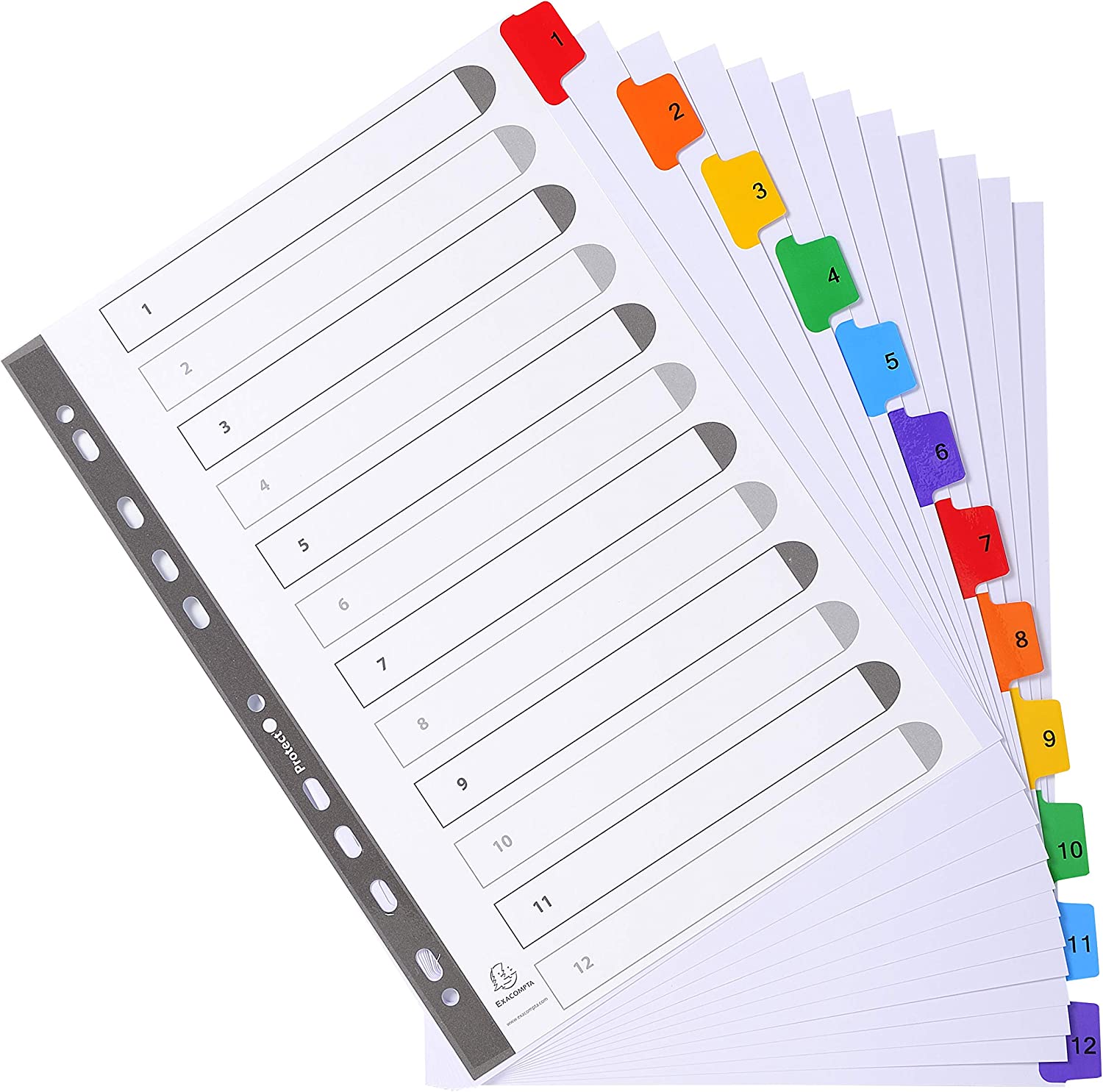 Exacompta - Ref 1112E - Mylar Printed Indices - for Use WithA4 Documents, Pre-Punched, 160gsm White Card with Reinforced Plastic Tabs, FSC-Certified - 12-Part Dividers (1-12