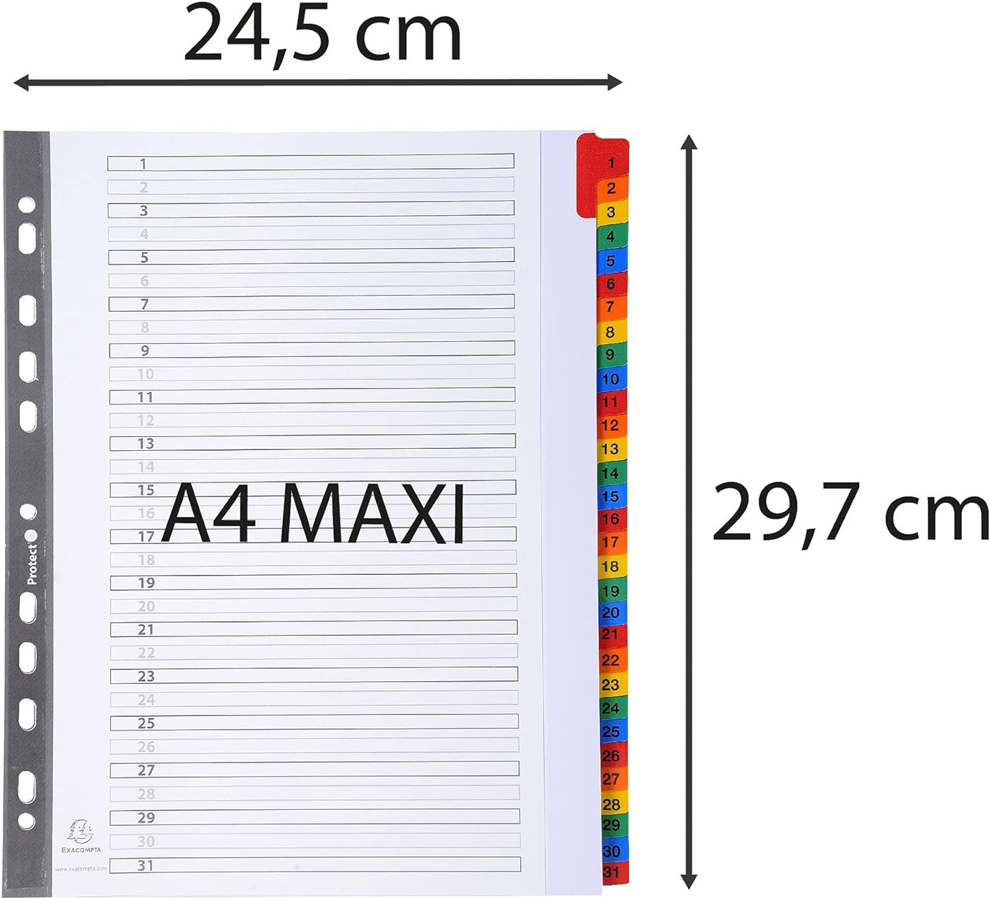 Exacompta - Ref 4131E - Mylar Printed Indices - For Use With A4+ Documents, Pre-Punched, 160gsm White Card with Reinforced Plastic Tabs, FSC-Certified - 31-Part Dividers (1-31) A4+ 31 Part
