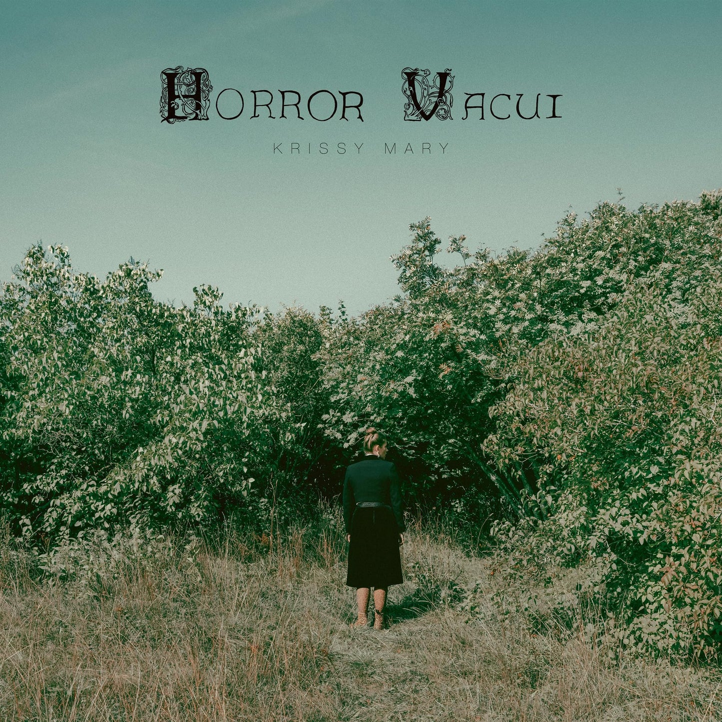 Horror Vacui