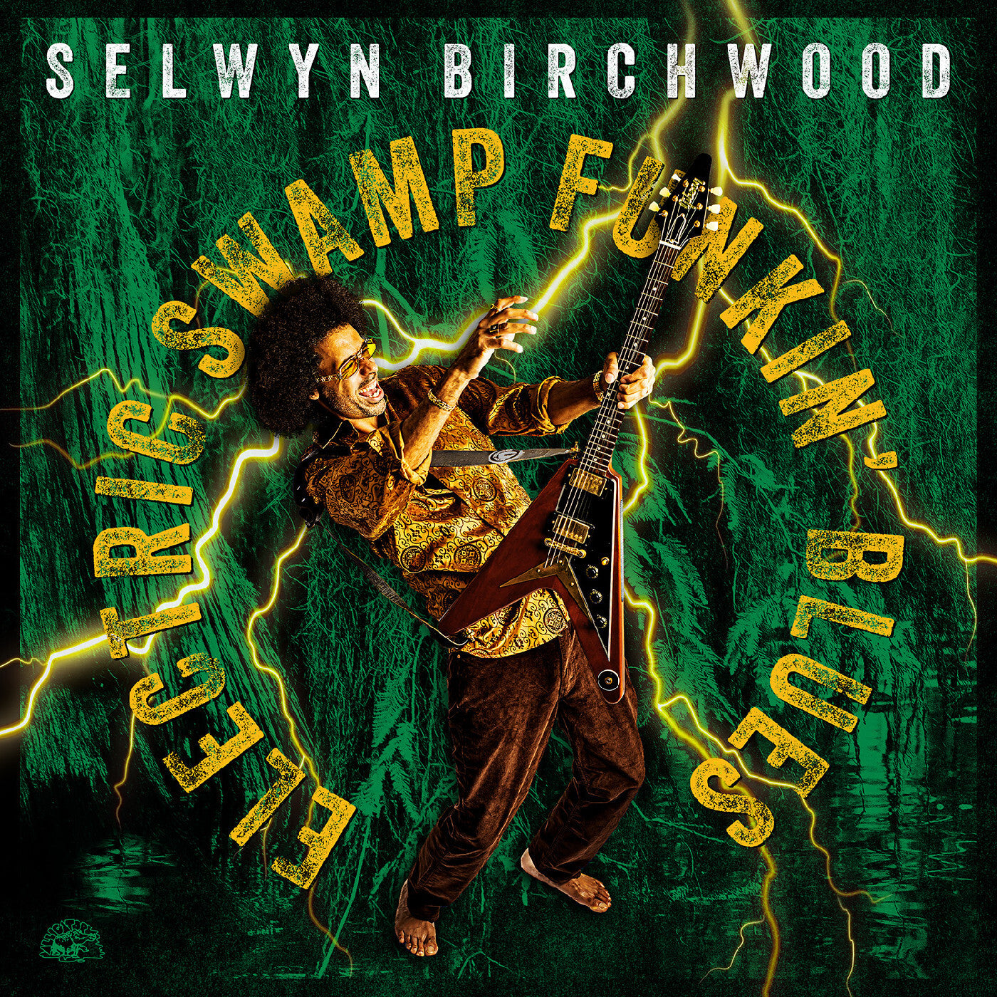 Electric Swamp Funkin' Blues