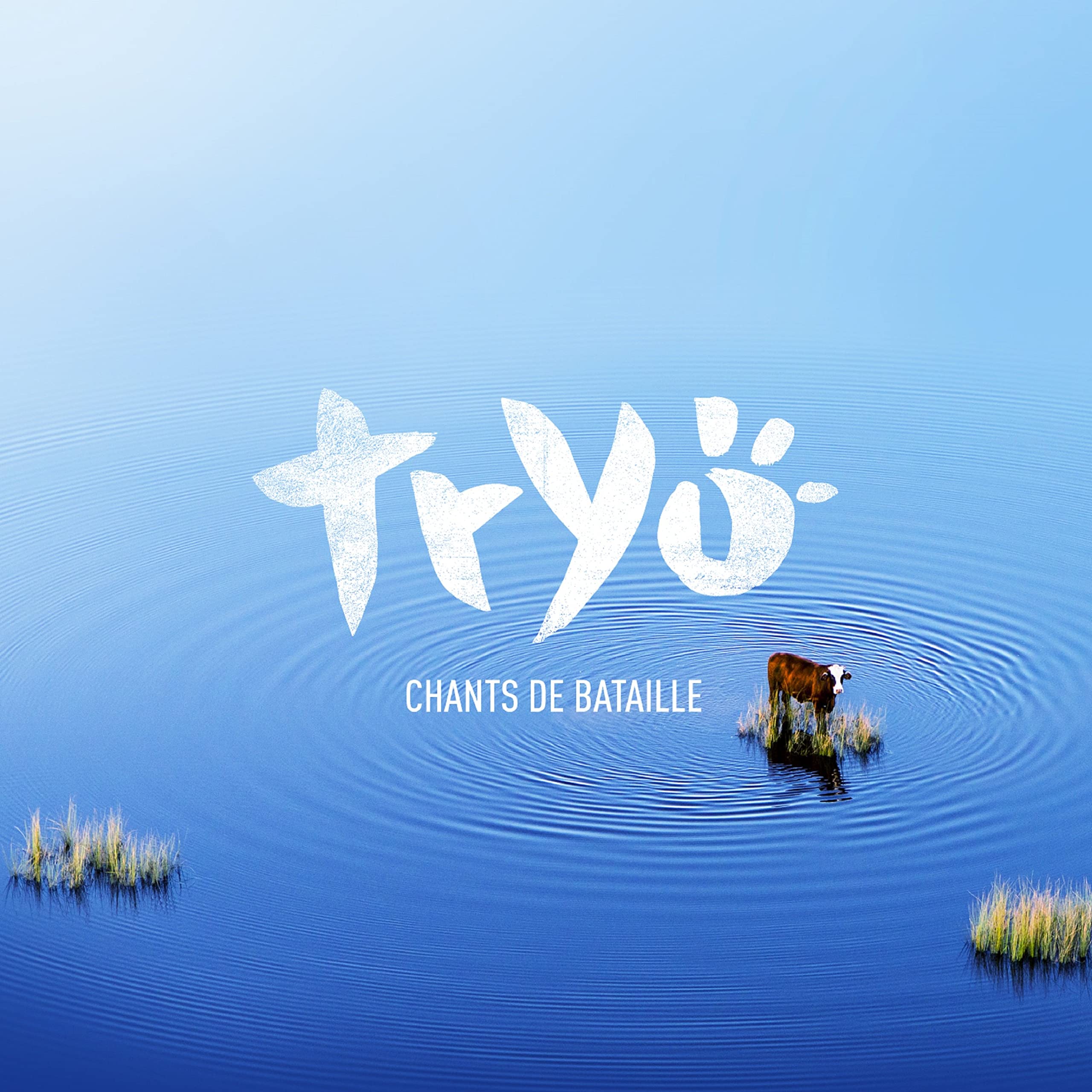 Chants De Bataille