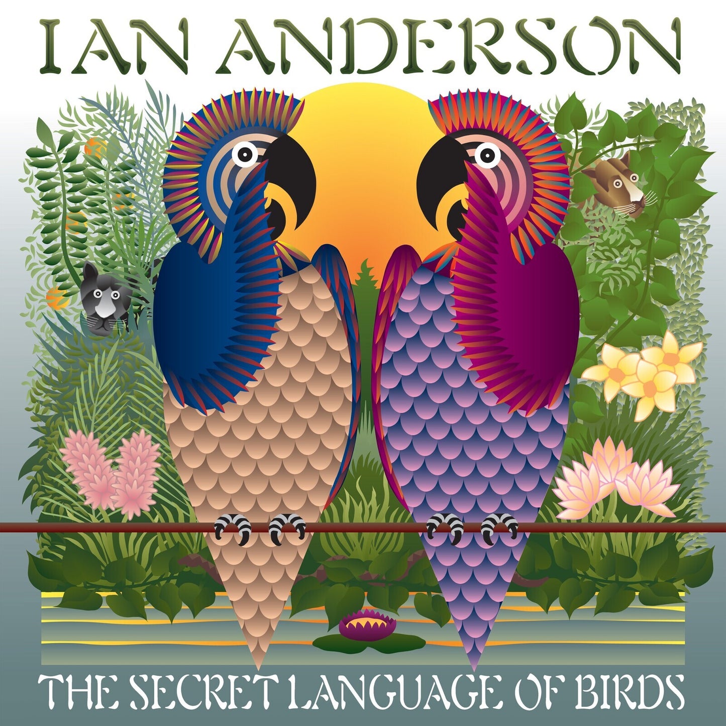 The Secret Language of Birds