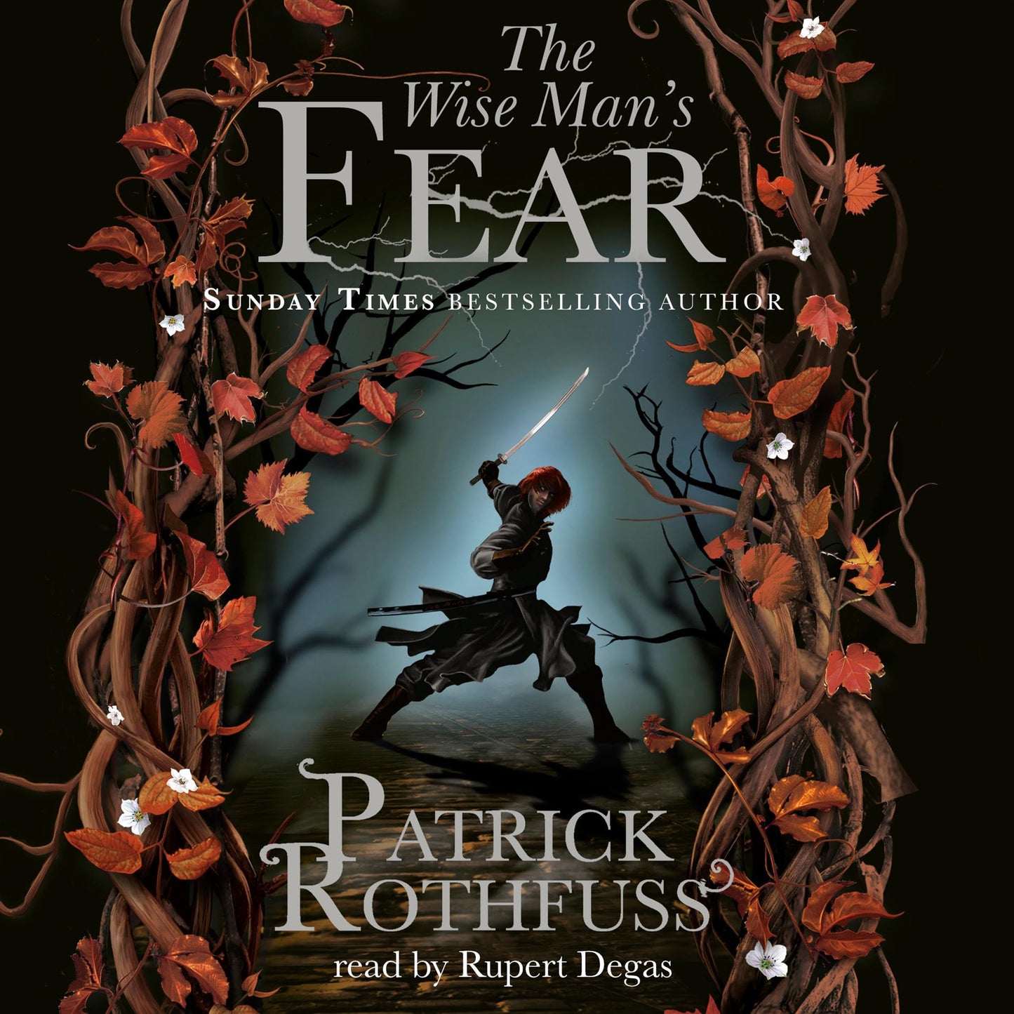 The Wise Man's Fear