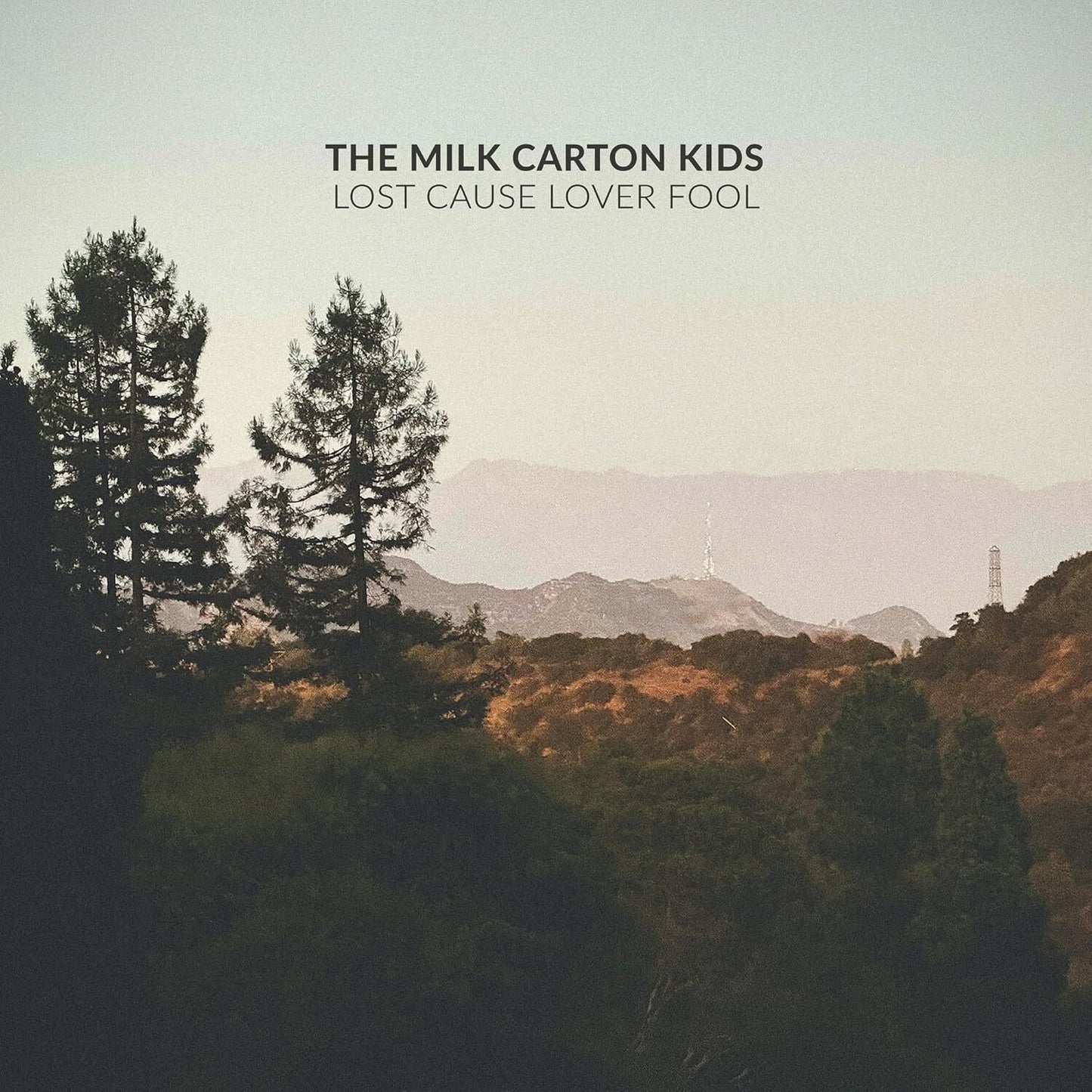 Lost Cause Lover Fool