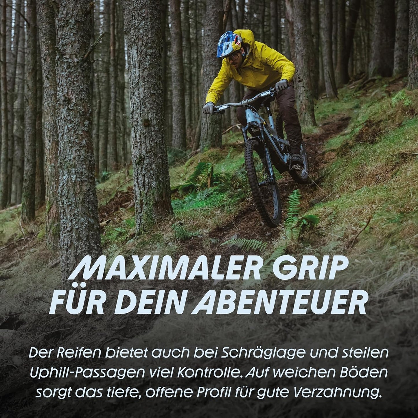 Schwalbe SHREDDA R Gravity Pro, TLR