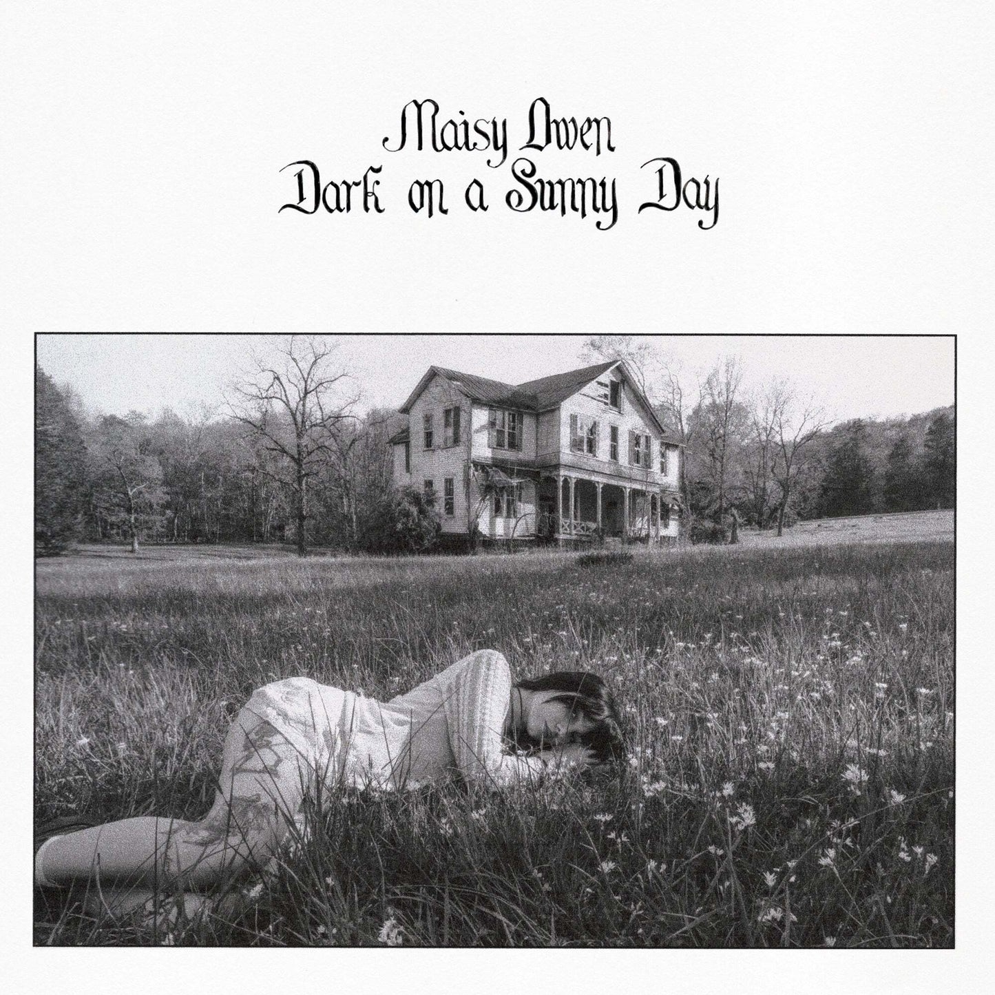 Dark On a Sunny Day