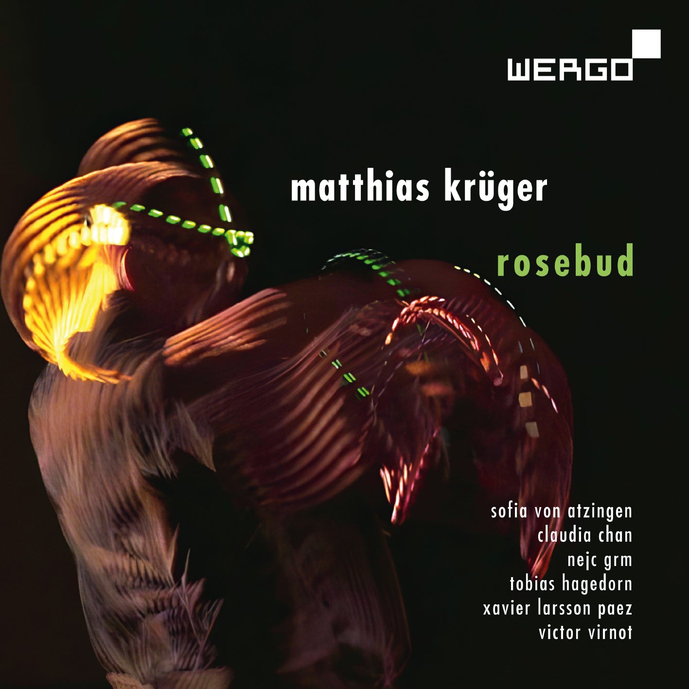Matthias Krüger: Rosebud