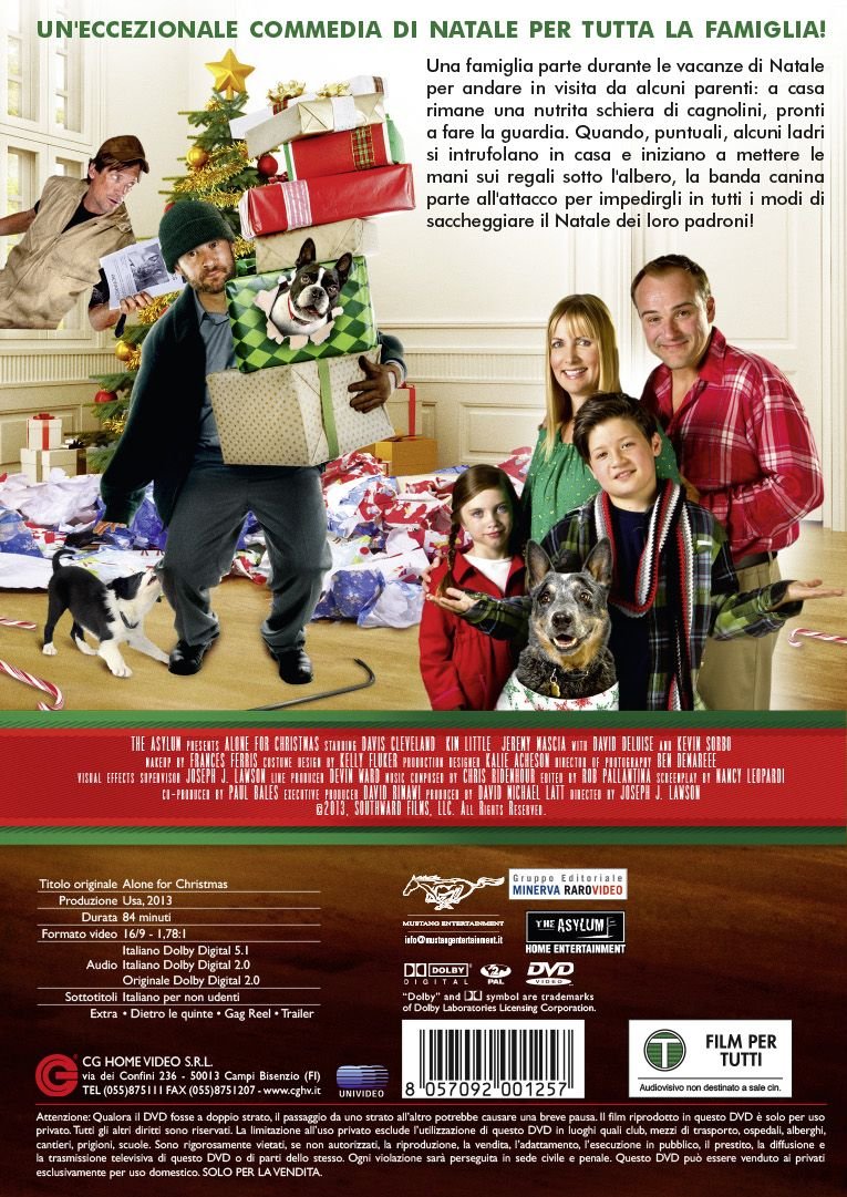 Alone For Christmas