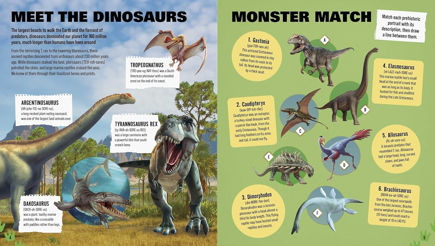 Dinosaurs Activity Book