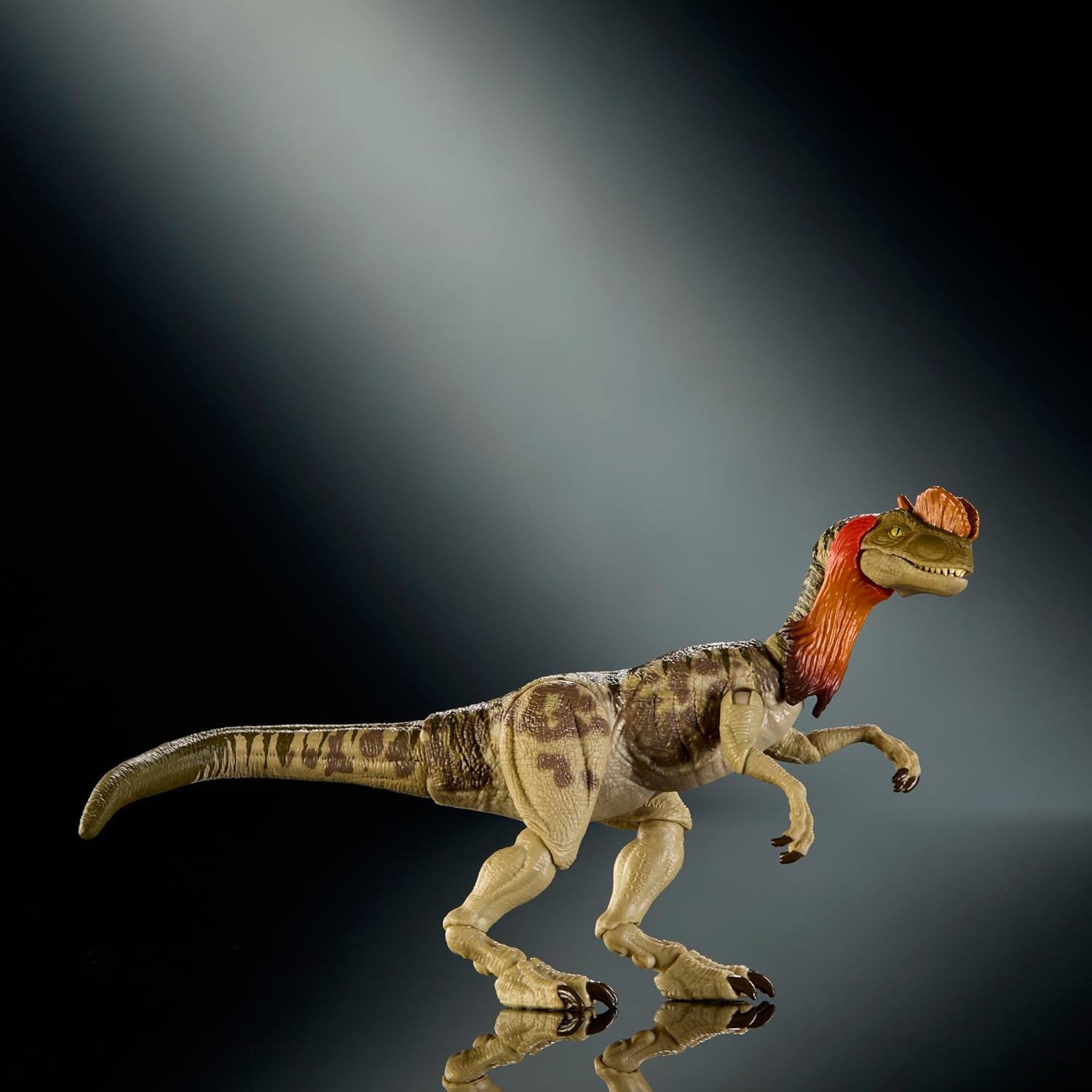 Mattel Jurassic World Hammond Collection Dinosaur Action Figure Dilophosaurus. Premium Design with Realistic Eyes, Articulated Joints & Extra Head, JKM93